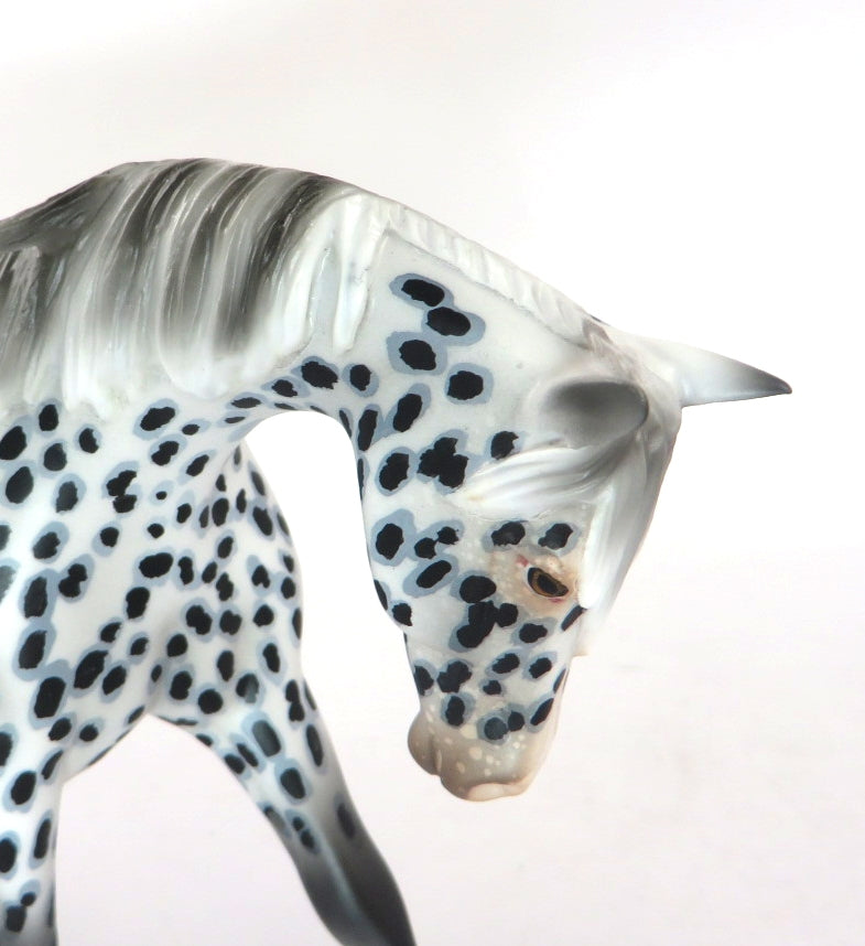 THEO-OOAK LOUD APPALOOSA WARMBLOOD PEBBLES MODEL HORSE BY AUDREY DIXON 12/19/19