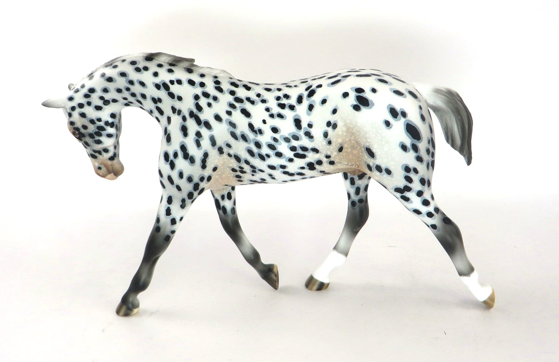THEO-OOAK LOUD APPALOOSA WARMBLOOD PEBBLES MODEL HORSE BY AUDREY DIXON 12/19/19