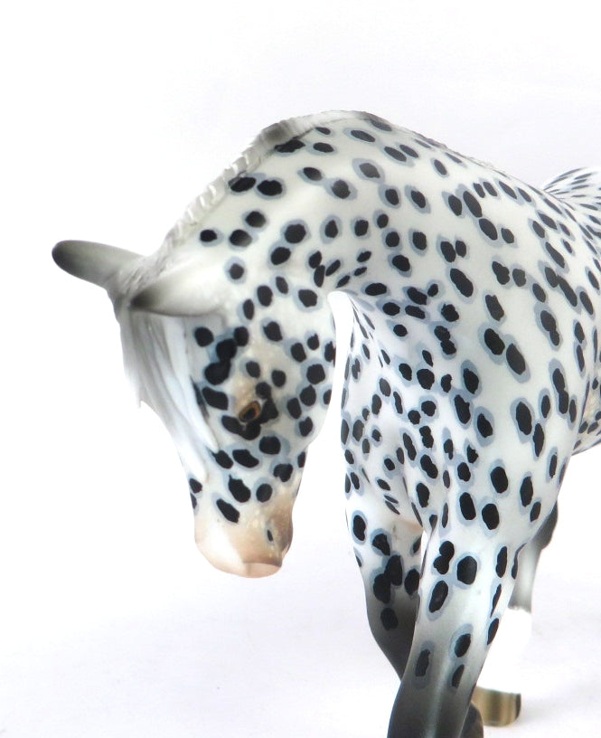 THEO-OOAK LOUD APPALOOSA WARMBLOOD PEBBLES MODEL HORSE BY AUDREY DIXON 12/19/19