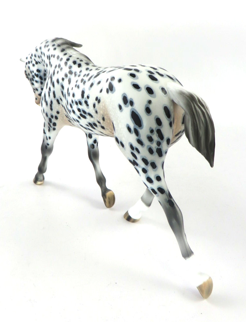 THEO-OOAK LOUD APPALOOSA WARMBLOOD PEBBLES MODEL HORSE BY AUDREY DIXON 12/19/19