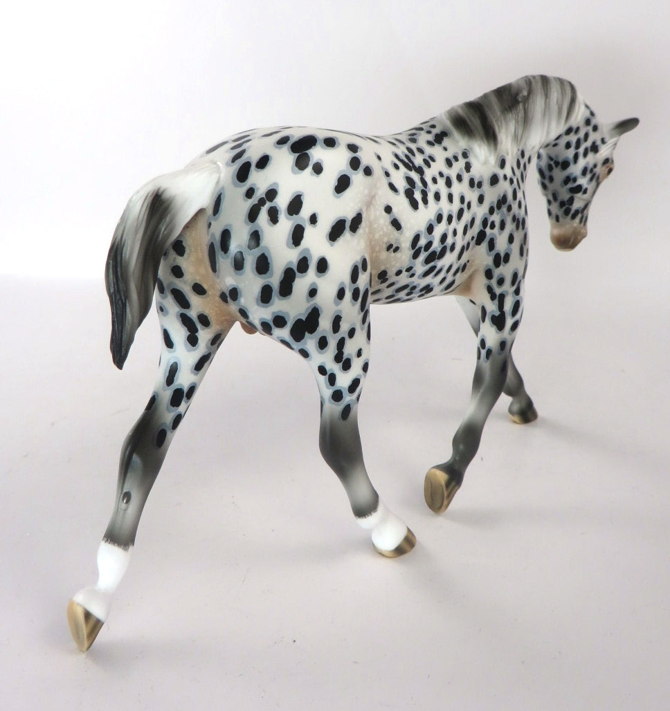 THEO-OOAK LOUD APPALOOSA WARMBLOOD PEBBLES MODEL HORSE BY AUDREY DIXON 12/19/19