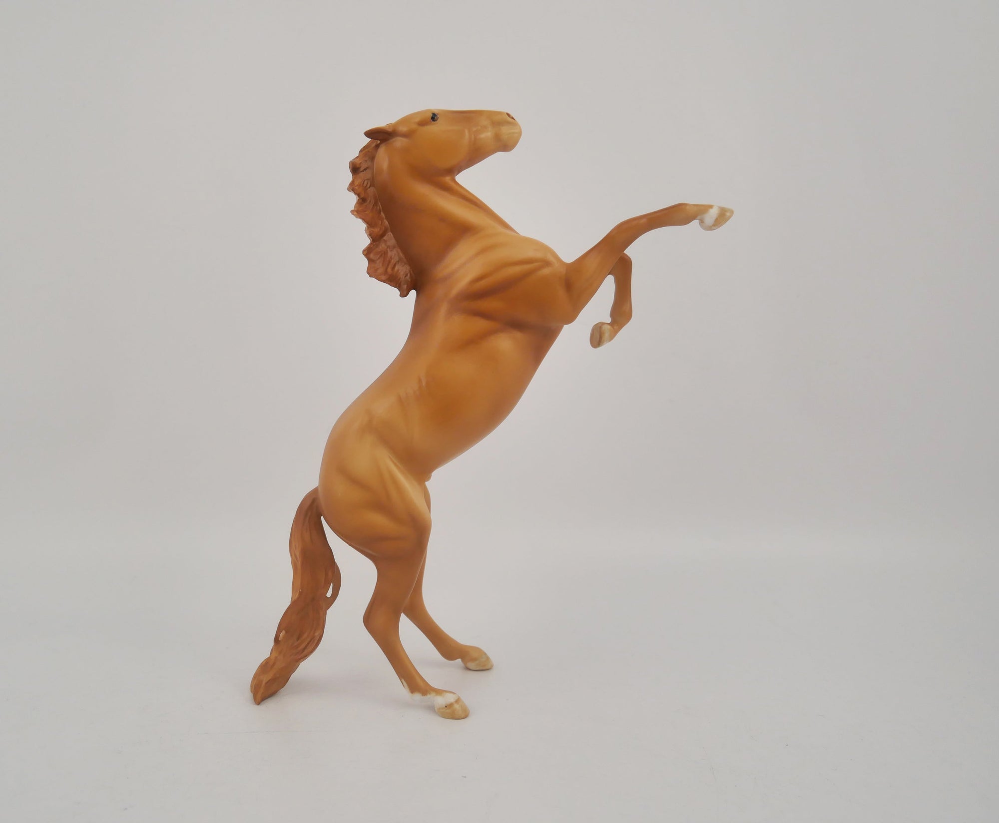 THE STAR-OOAK REARING PEBBLE ARTIST INSPIRED BY ANDREA EQ 2020