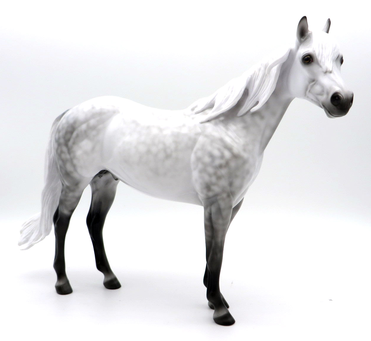 Thundersnow-OOAK Star Dapple Grey ISH  painted by Ellen 12/2/21