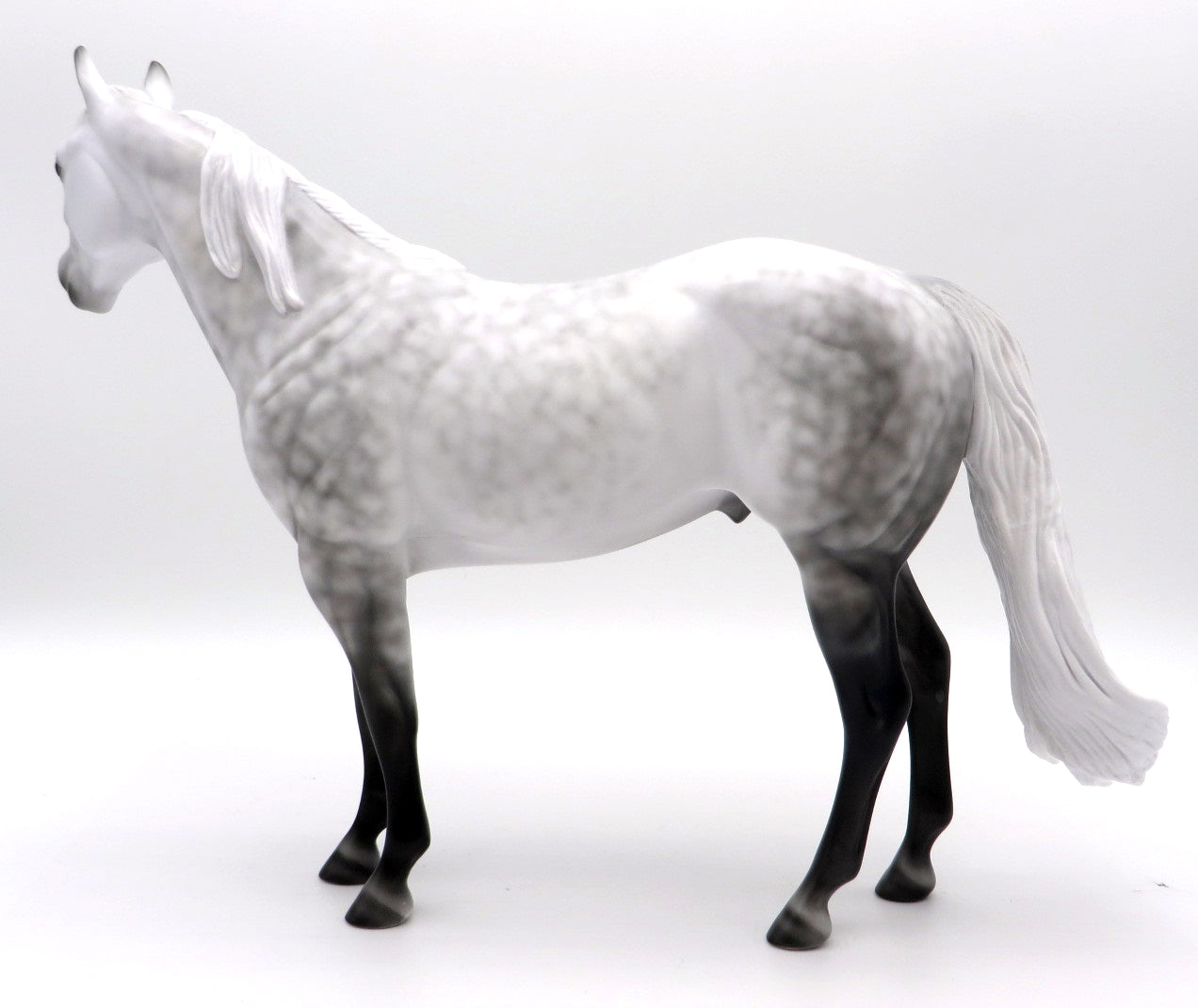 Thundersnow-OOAK Star Dapple Grey ISH  painted by Ellen 12/2/21