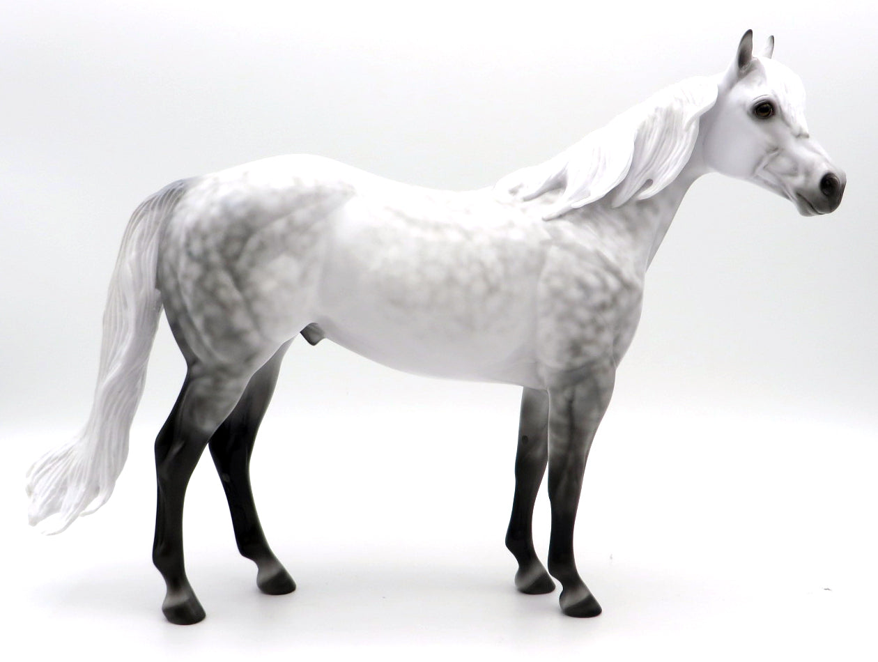 Thundersnow-OOAK Star Dapple Grey ISH  painted by Ellen 12/2/21