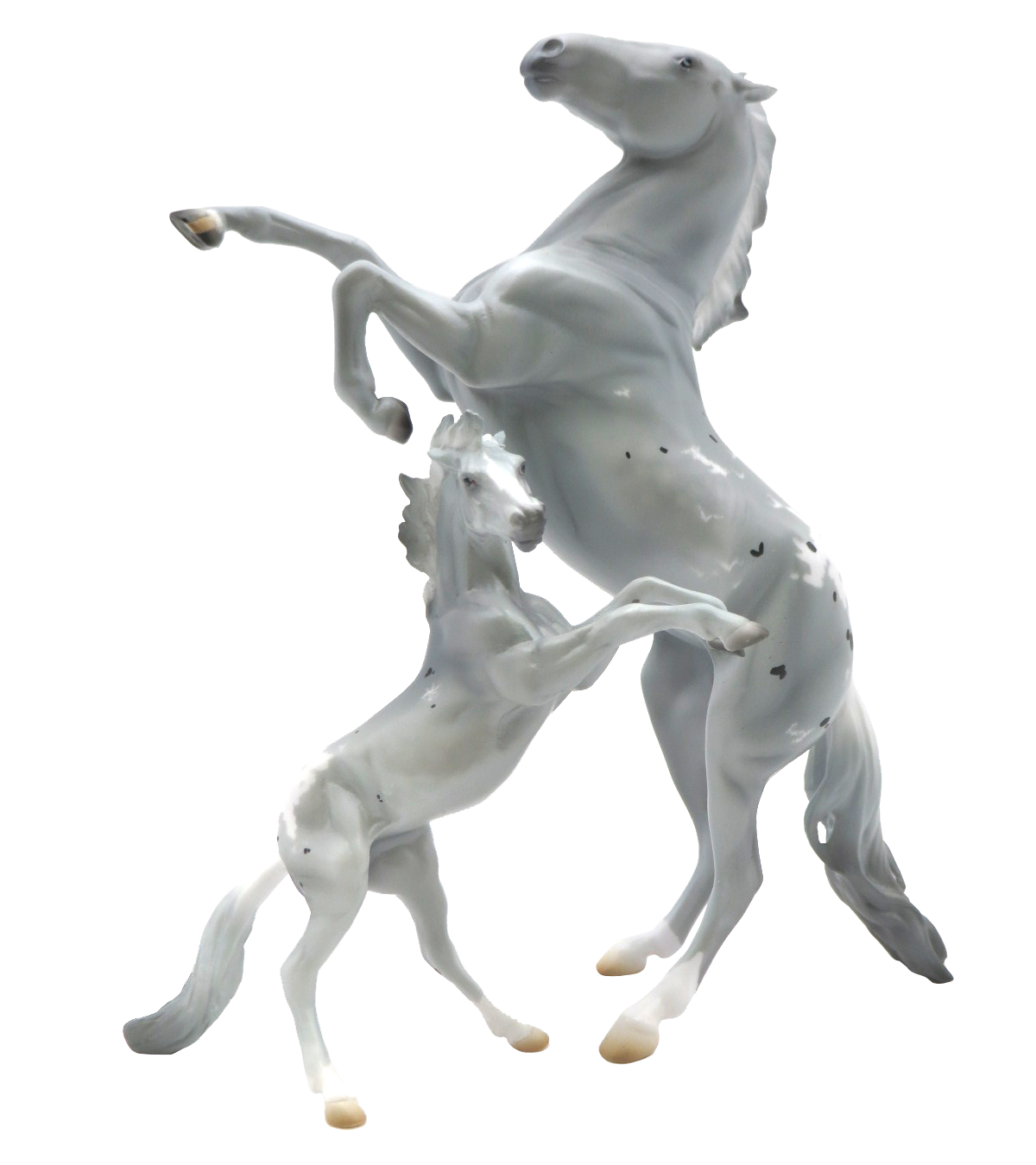 Thyella-LE-20 Rearing Pebbles  AOTH 22