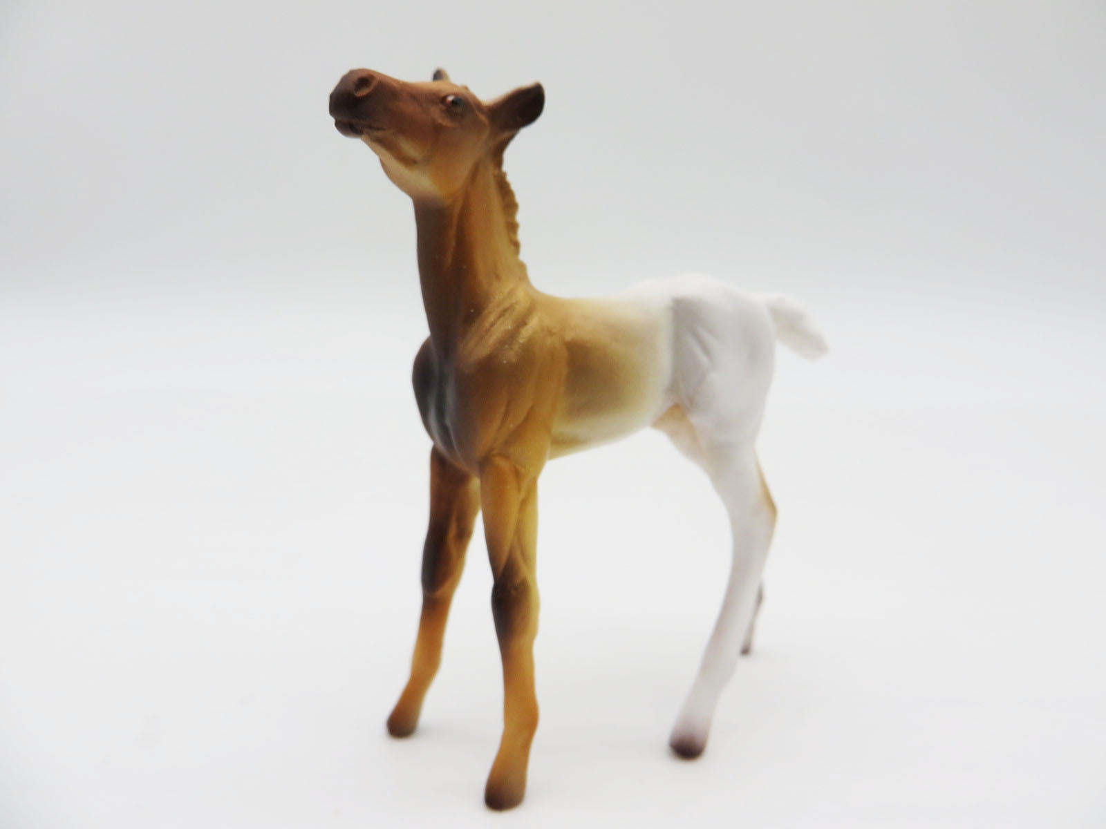 TOASTED MARSHMELLOW - OOAK - DECORATOR CHIP FOAL - BY JAS FANNING  LHS 22