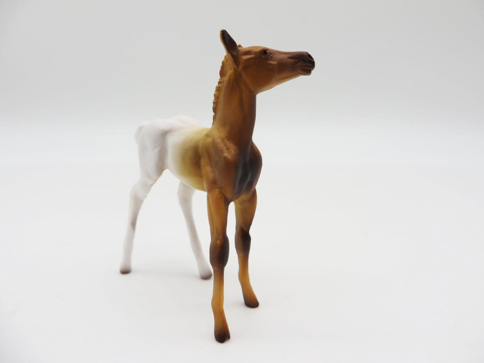 TOASTED MARSHMELLOW - OOAK - DECORATOR CHIP FOAL - BY JAS FANNING  LHS 22