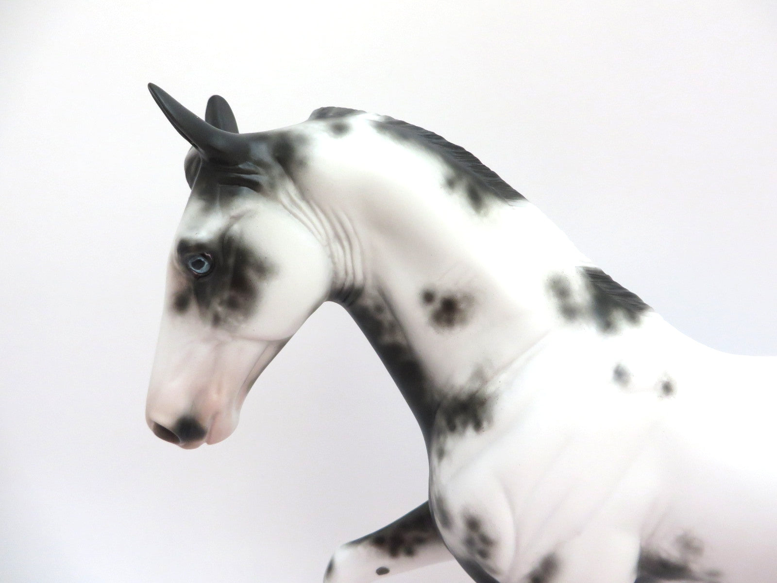 TODO BIEN-OOAK SABINO TENNESSEE WALKER MODEL HORSE BY SHERYL LEISURE 3/11/20
