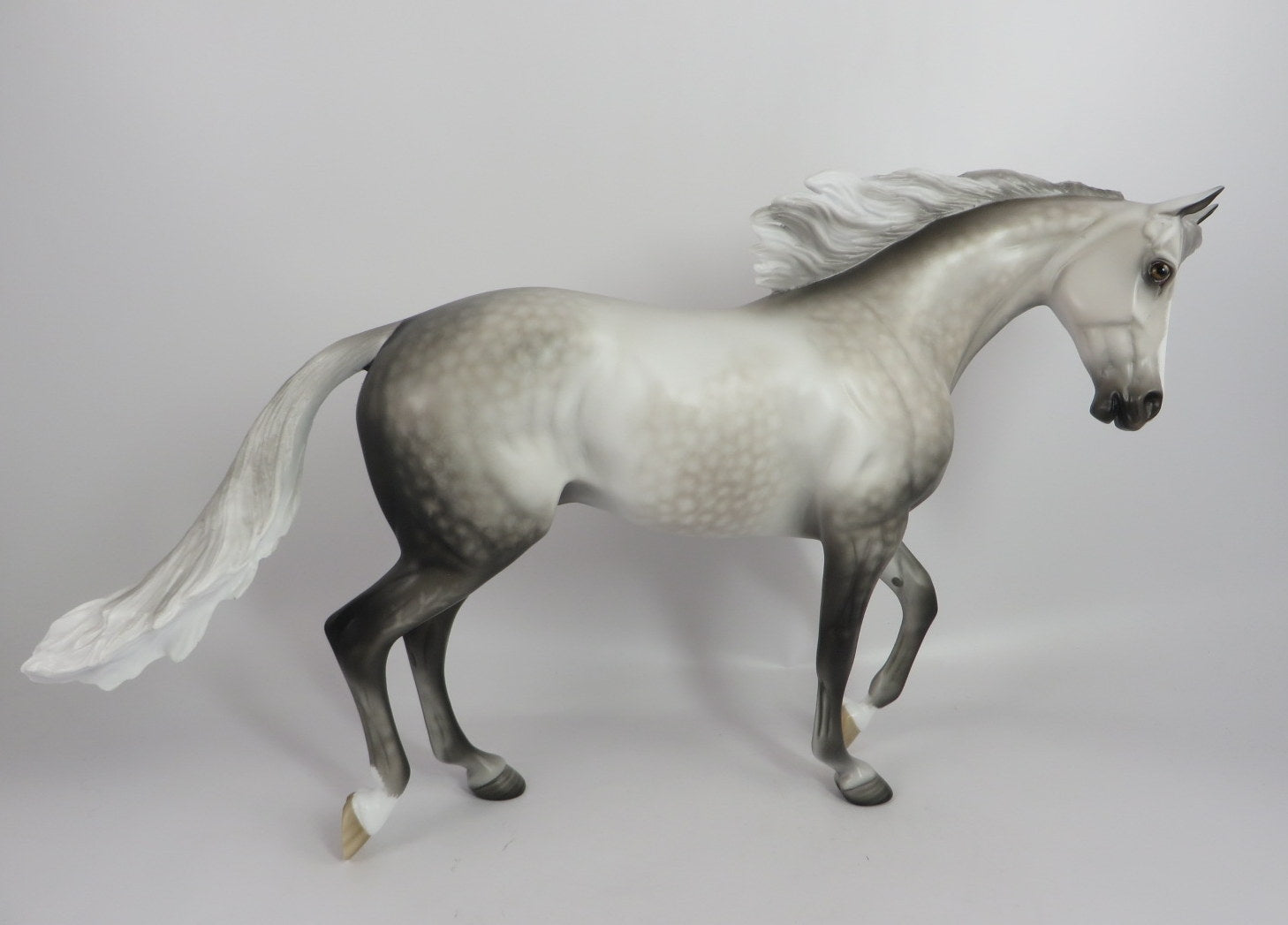 TOMMARA-OOAK STAR DAPPLE GREY THORUGHBRED MODEL HORSE BY SL WHS 19