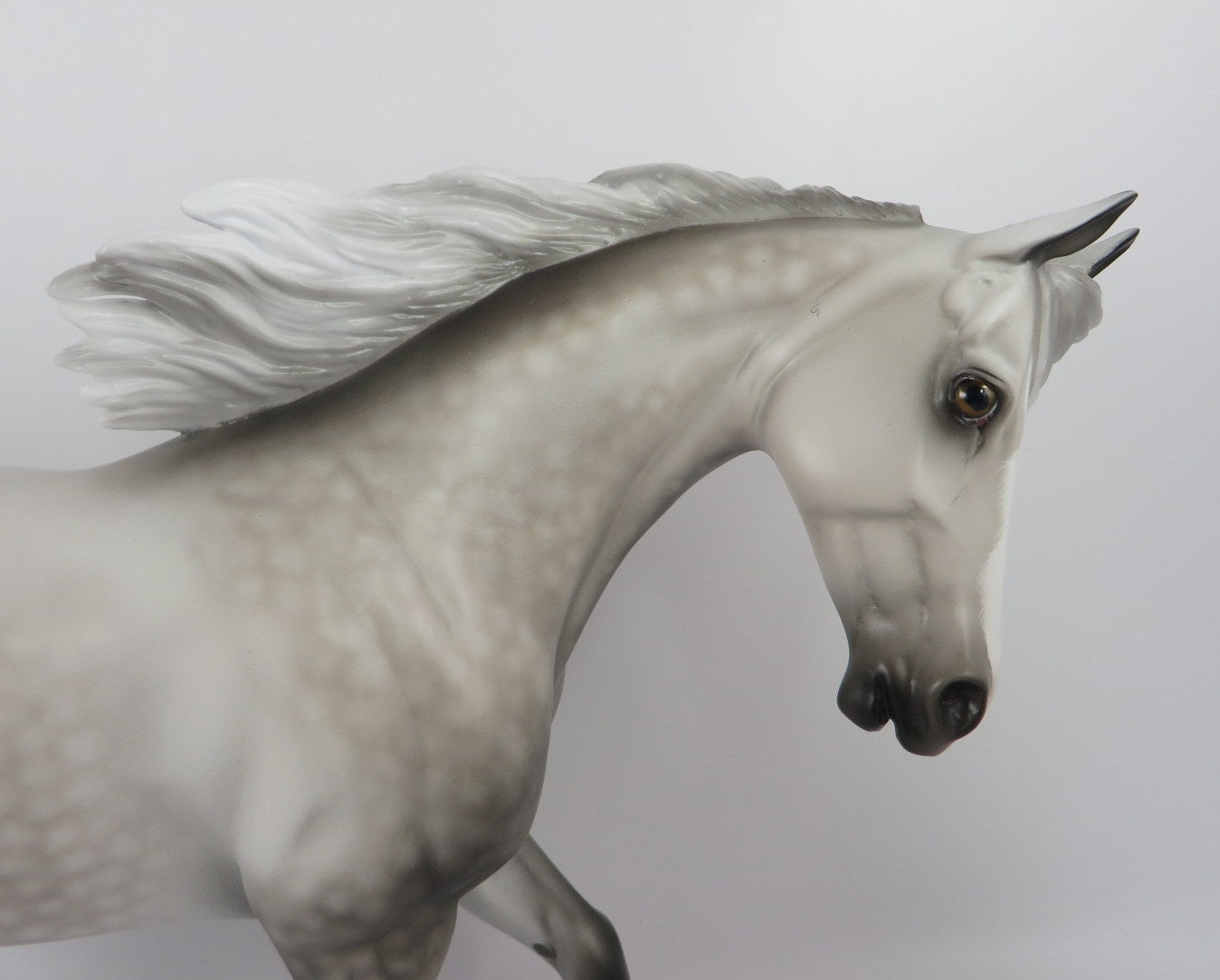 TOMMARA-OOAK STAR DAPPLE GREY THORUGHBRED MODEL HORSE BY SL WHS 19