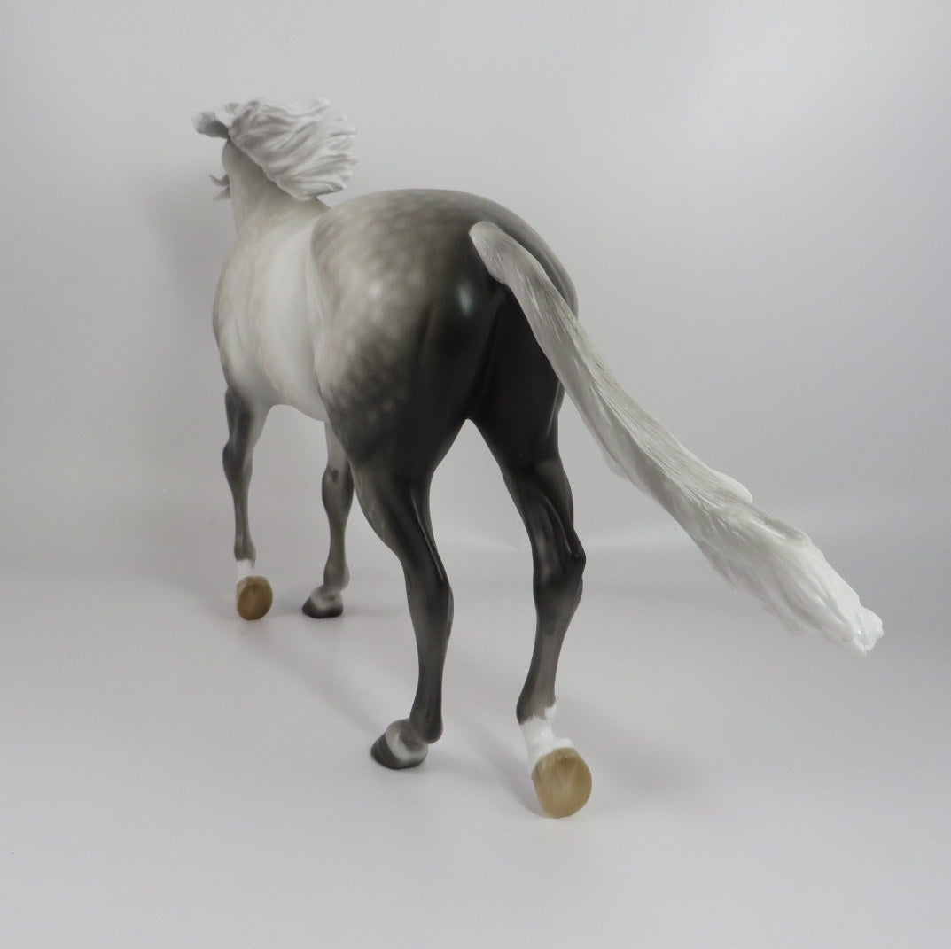 TOMMARA-OOAK STAR DAPPLE GREY THORUGHBRED MODEL HORSE BY SL WHS 19