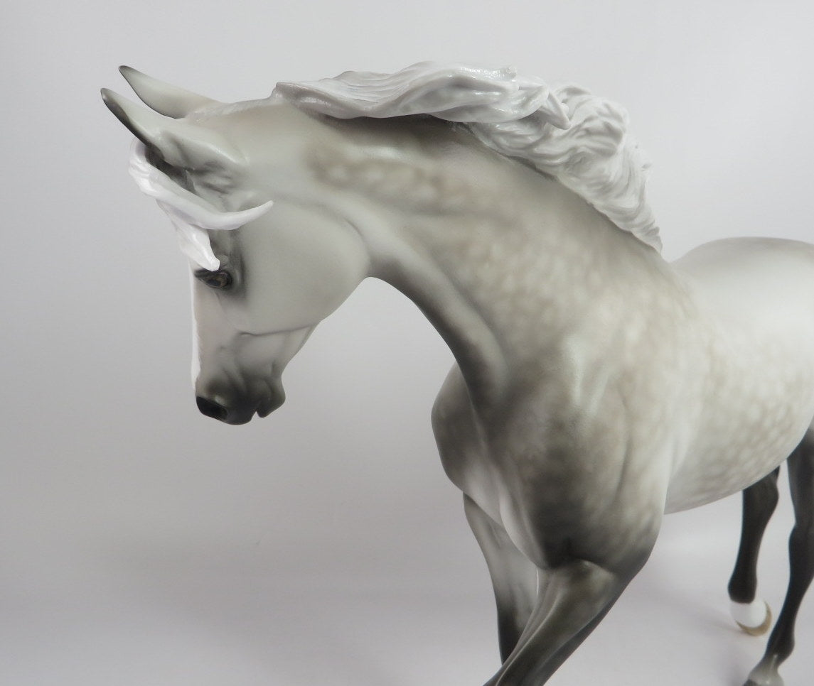 TOMMARA-OOAK STAR DAPPLE GREY THORUGHBRED MODEL HORSE BY SL WHS 19