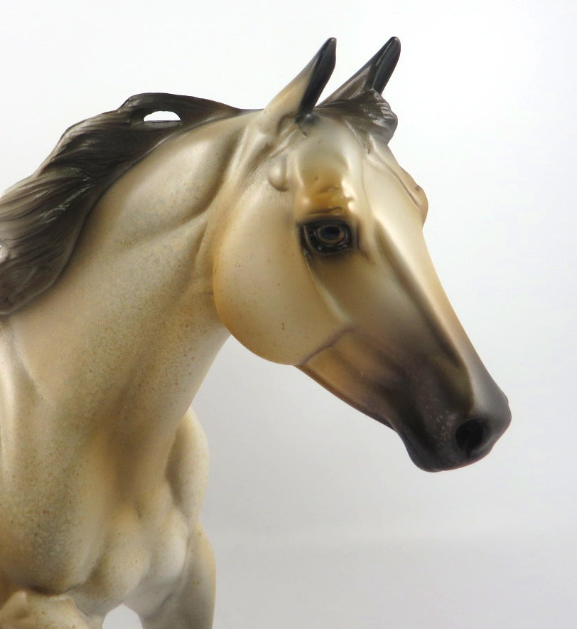 TOUCHDOWN - OOAK VARNISH BUCKSKIN ROAN  FQH  BY MISSY FOX SB20