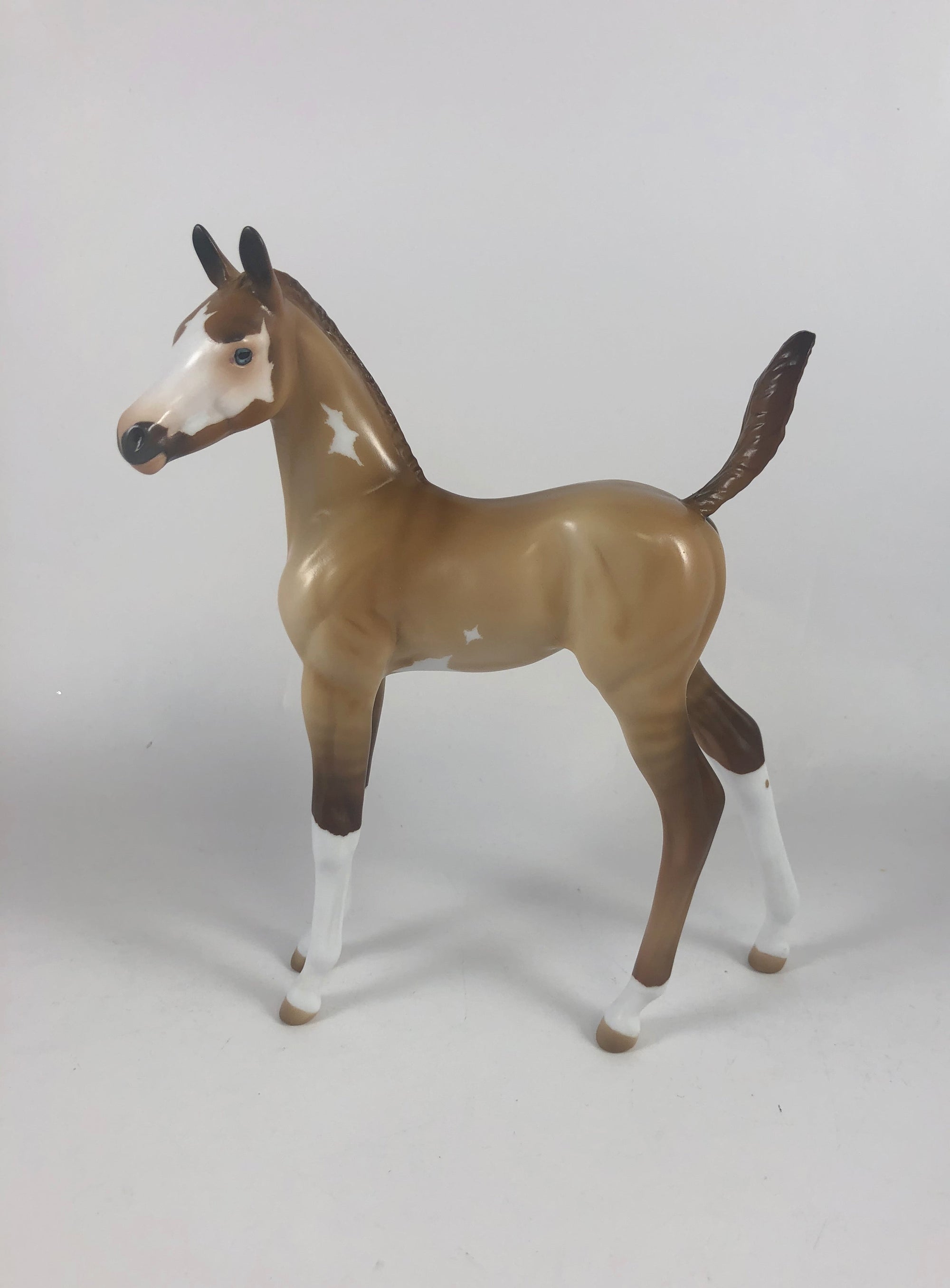 TREAT - OOAK RED DUN ARABIAN FOAL BY AUDREY DIXON MM19
