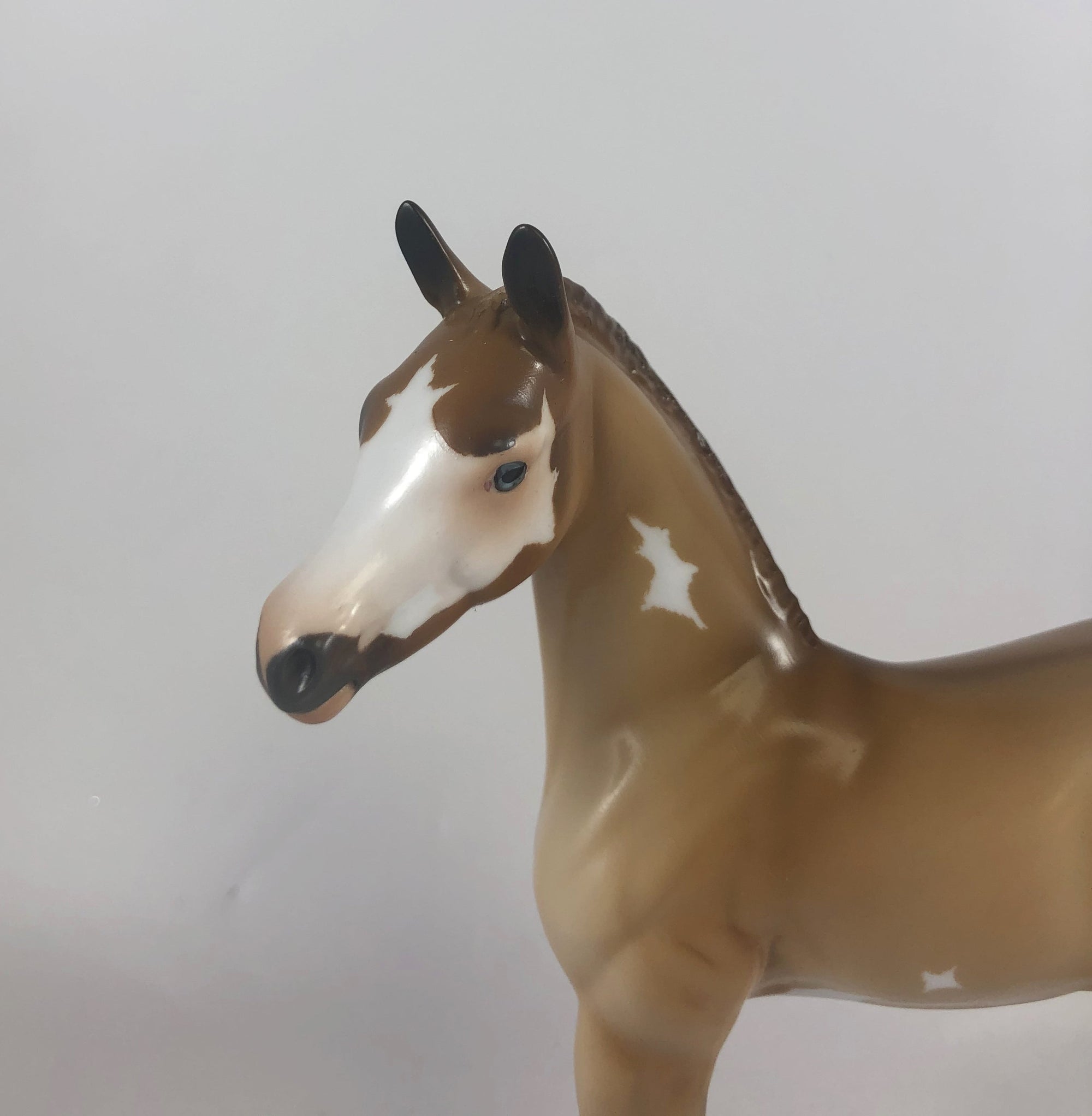 TREAT - OOAK RED DUN ARABIAN FOAL BY AUDREY DIXON MM19