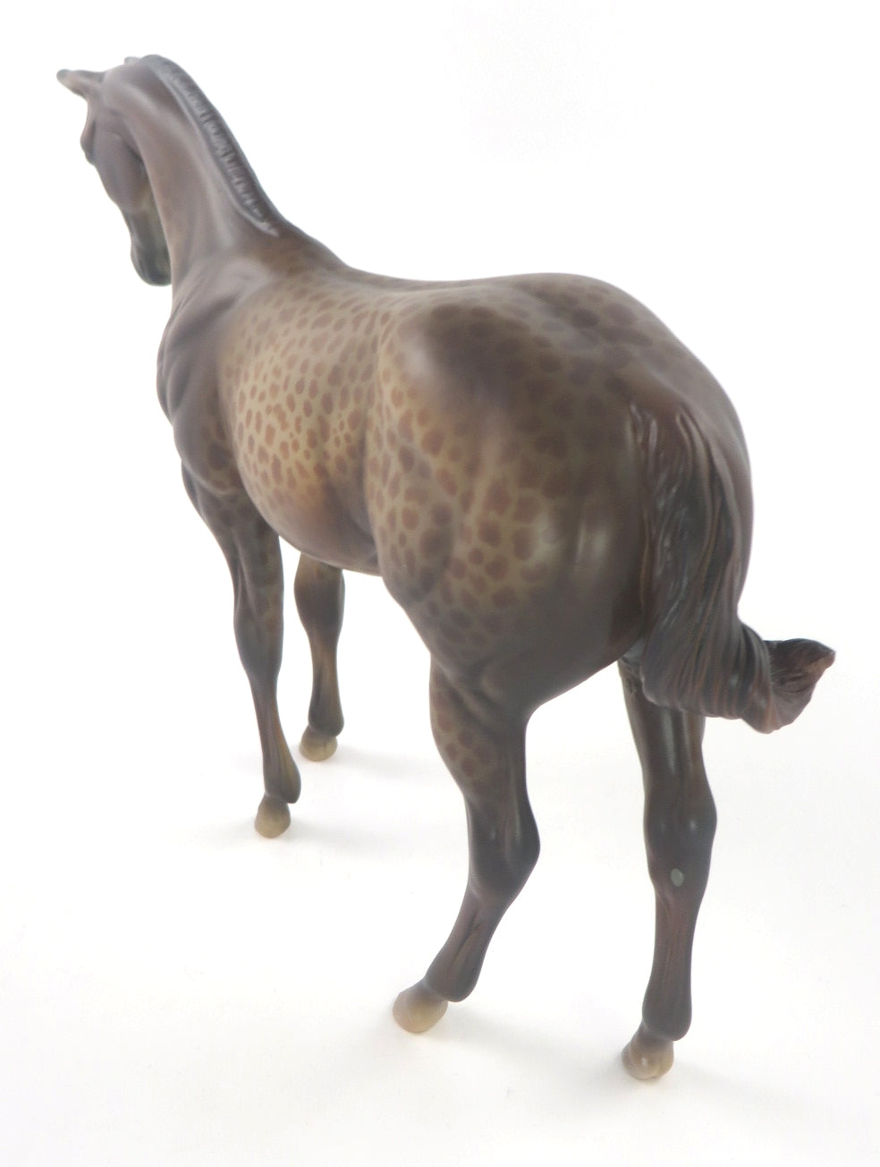 TRIXIE - OOAK DARK CHESTNUT LEOPARD WEANLING MODEL HORSE WHS 19