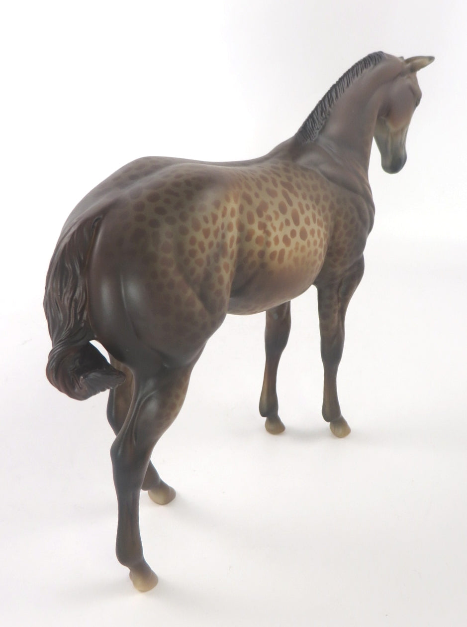 TRIXIE - OOAK DARK CHESTNUT LEOPARD WEANLING MODEL HORSE WHS 19