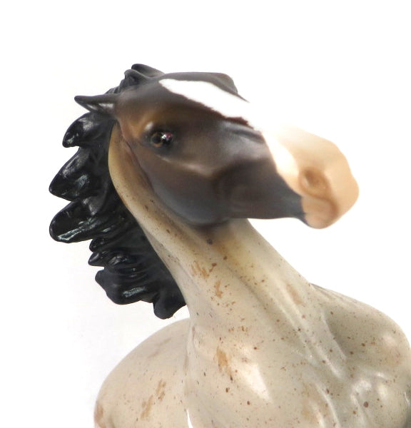 TRUFFLES ARE AWESOME-OOAK RED ROAN PAINT REARING PEBBLES MODEL HORSE 2/14/20