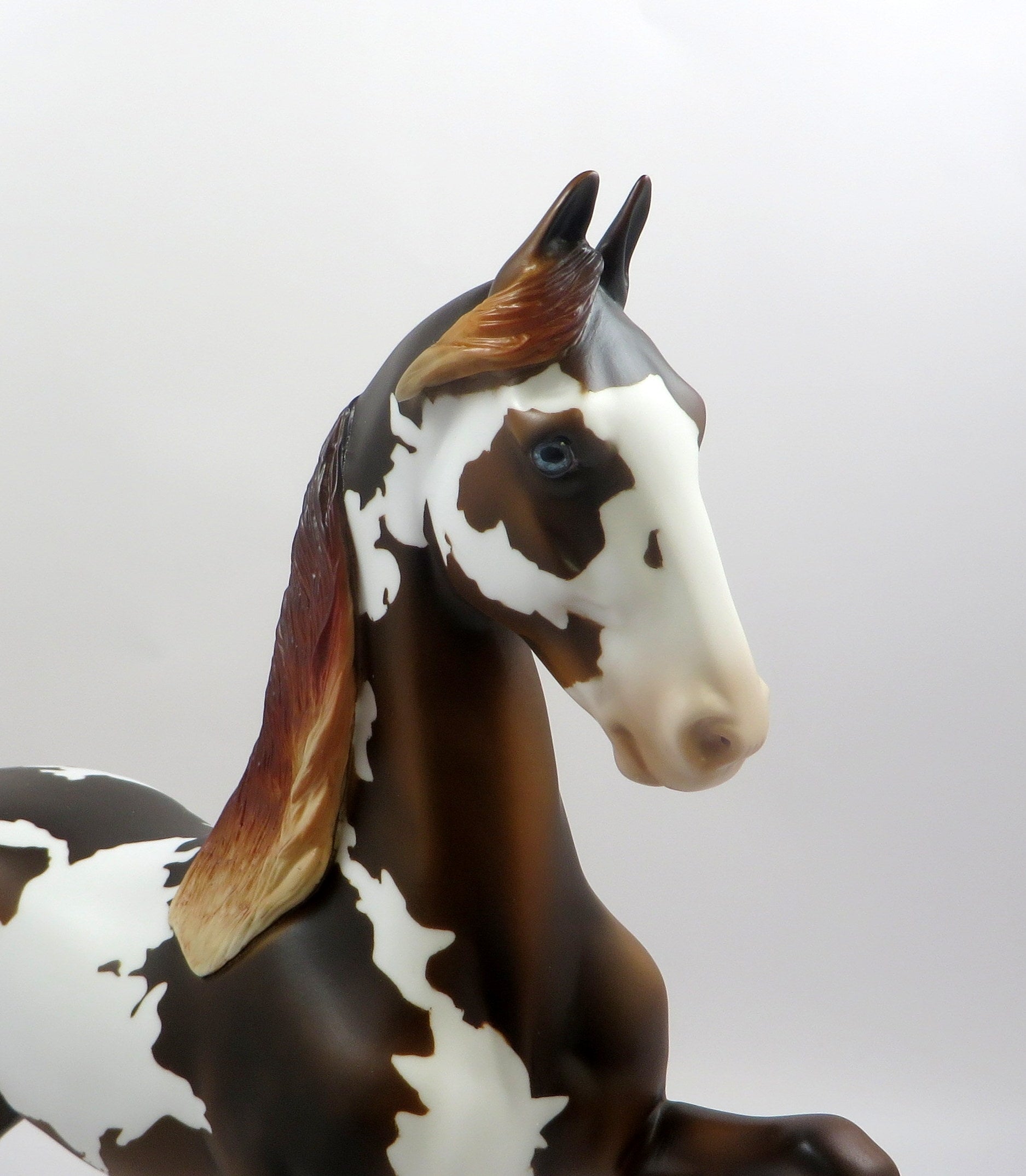 TZARINA-OOAK BAY PAINT SADDLEBRED MODEL HORSE EQ 19