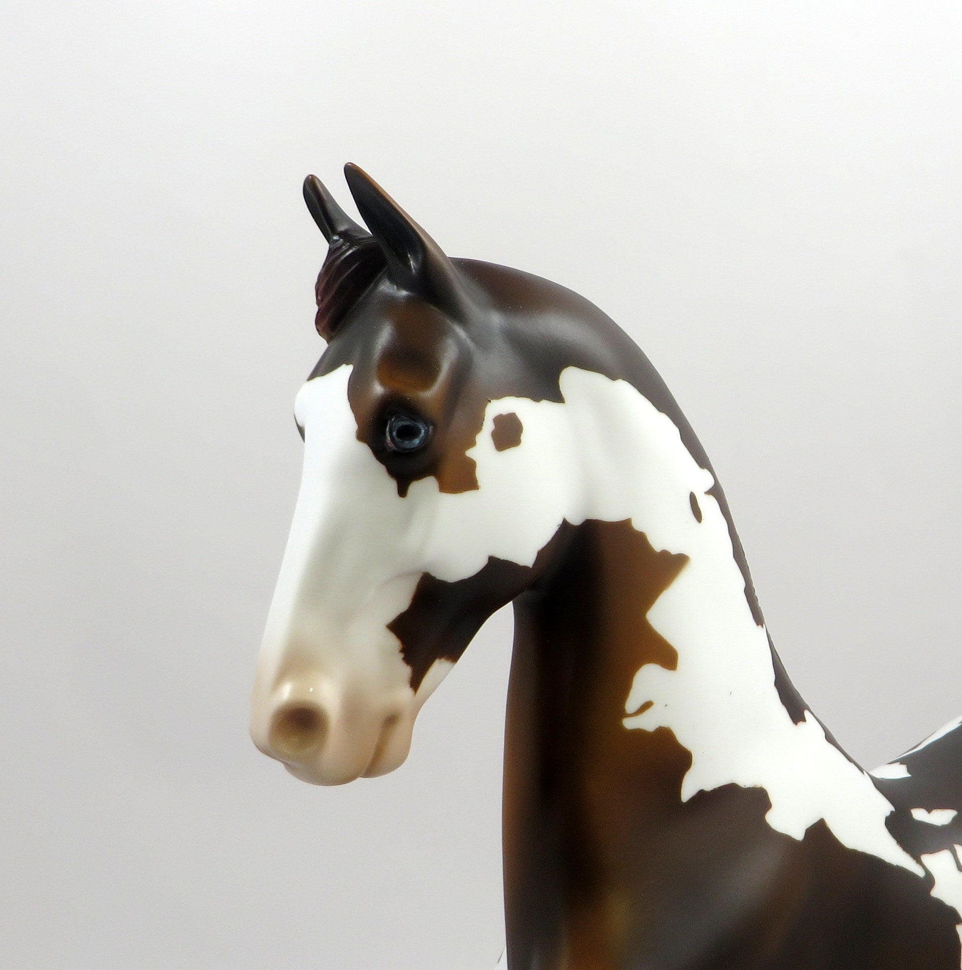 TZARINA-OOAK BAY PAINT SADDLEBRED MODEL HORSE EQ 19