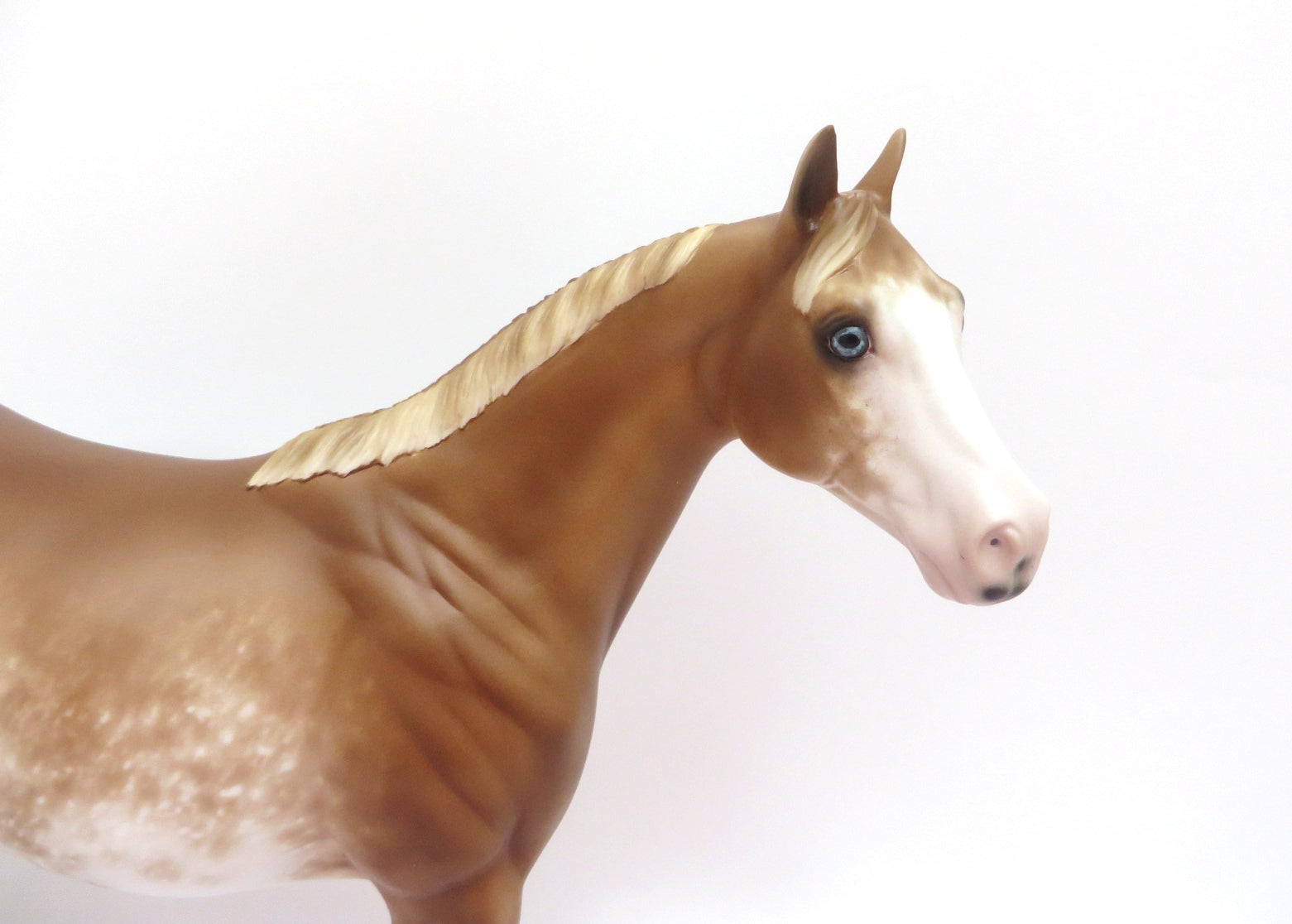 UN GUSTO-OOAK CHESTNUT SABINO ISH MODEL HORSE BY SHERYL LEISURE 3/11/20
