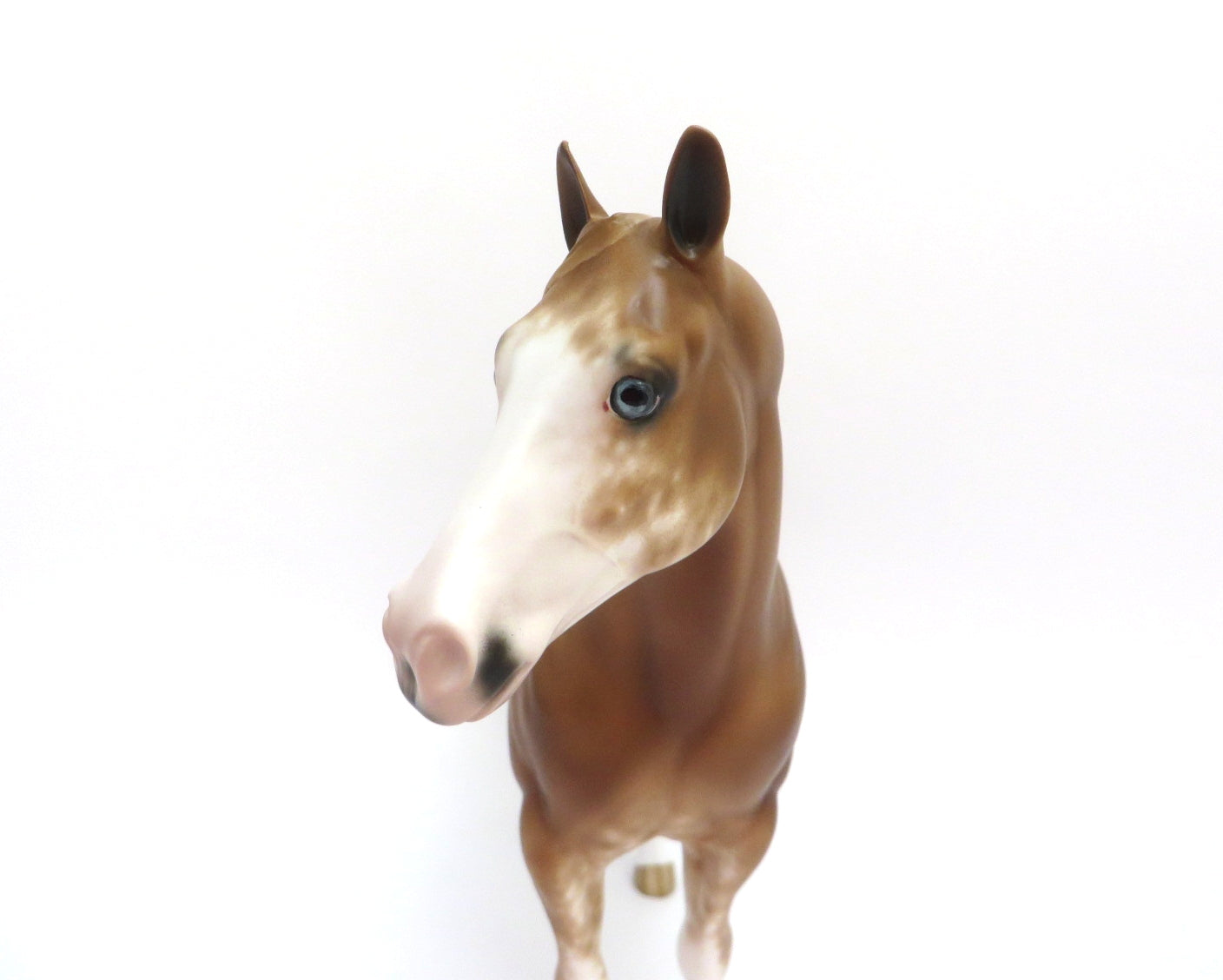 UN GUSTO-OOAK CHESTNUT SABINO ISH MODEL HORSE BY SHERYL LEISURE 3/11/20