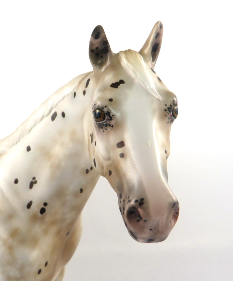 UNDER MY FEET-OOAK APPALOOSA ISH MODEL HORSE BY SHERYL LEISURE 2/14/20