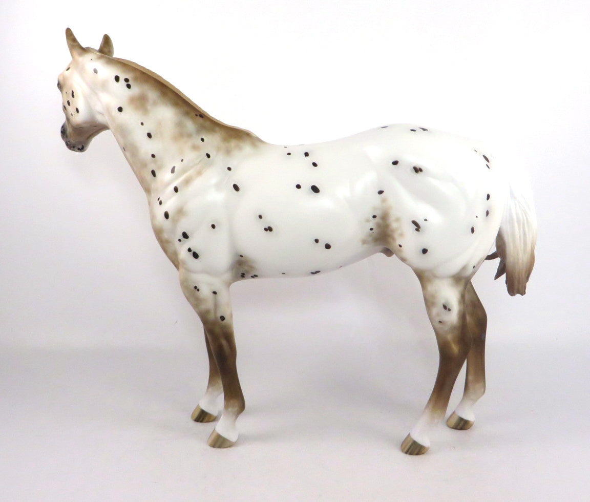 UNDER MY FEET-OOAK APPALOOSA ISH MODEL HORSE BY SHERYL LEISURE 2/14/20