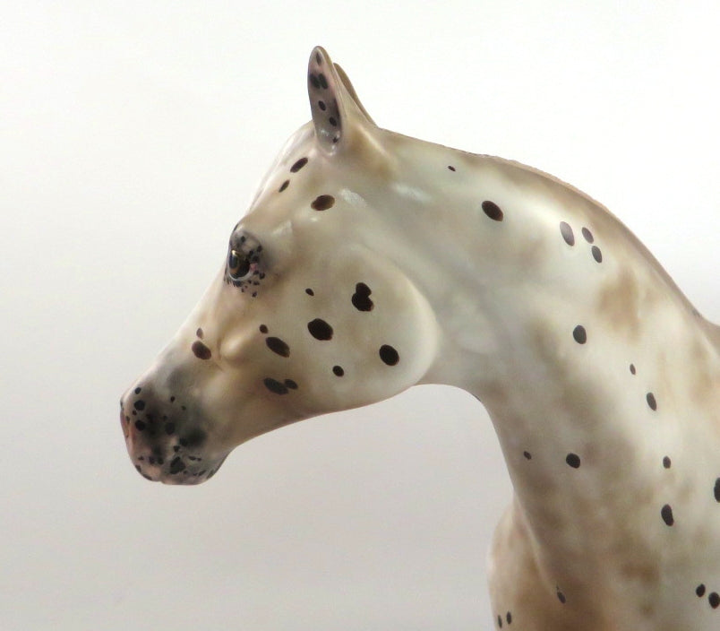UNDER MY FEET-OOAK APPALOOSA ISH MODEL HORSE BY SHERYL LEISURE 2/14/20
