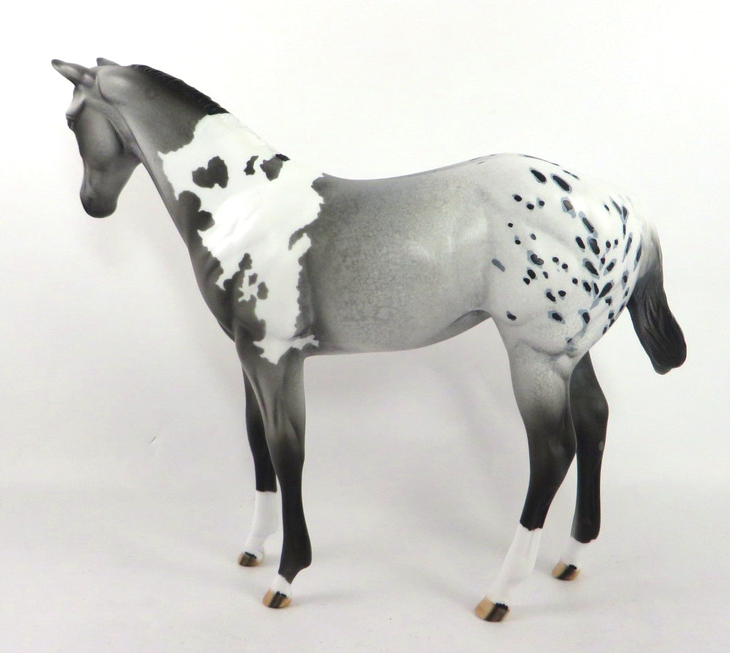 VARSITY BLUES - OOAK GREY PINTALOOSA WEANLING MODEL HORSE BY DAWN QUICK SB20