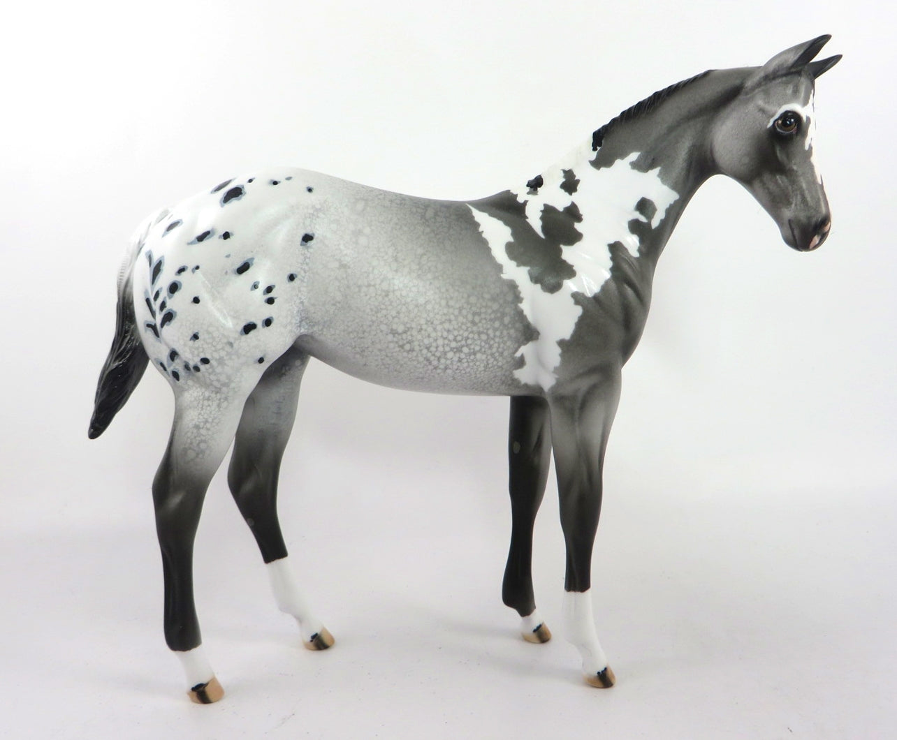 VARSITY BLUES - OOAK GREY PINTALOOSA WEANLING MODEL HORSE BY DAWN QUICK SB20
