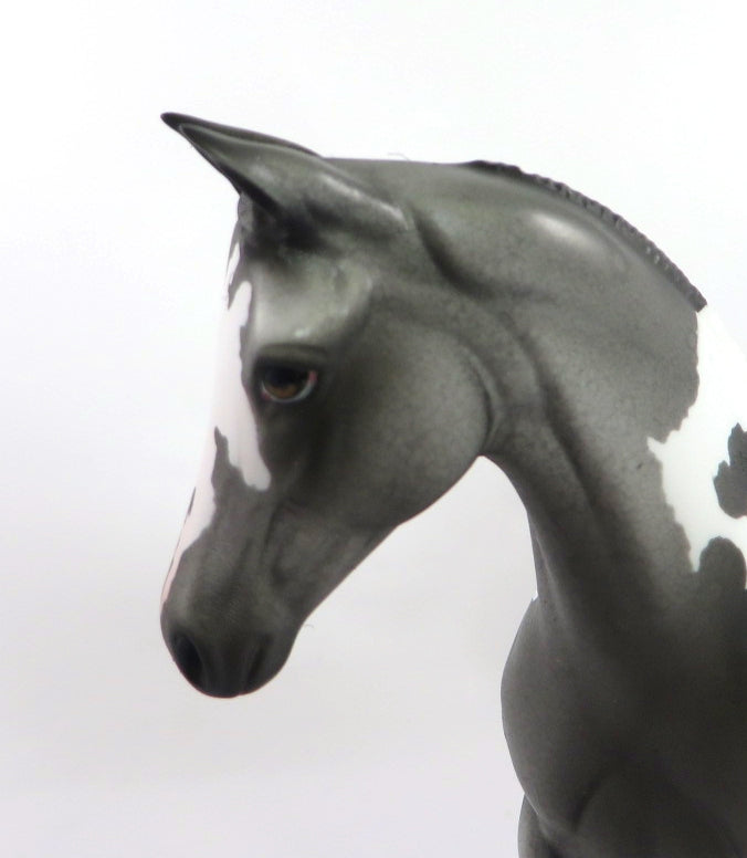 VARSITY BLUES - OOAK GREY PINTALOOSA WEANLING MODEL HORSE BY DAWN QUICK SB20