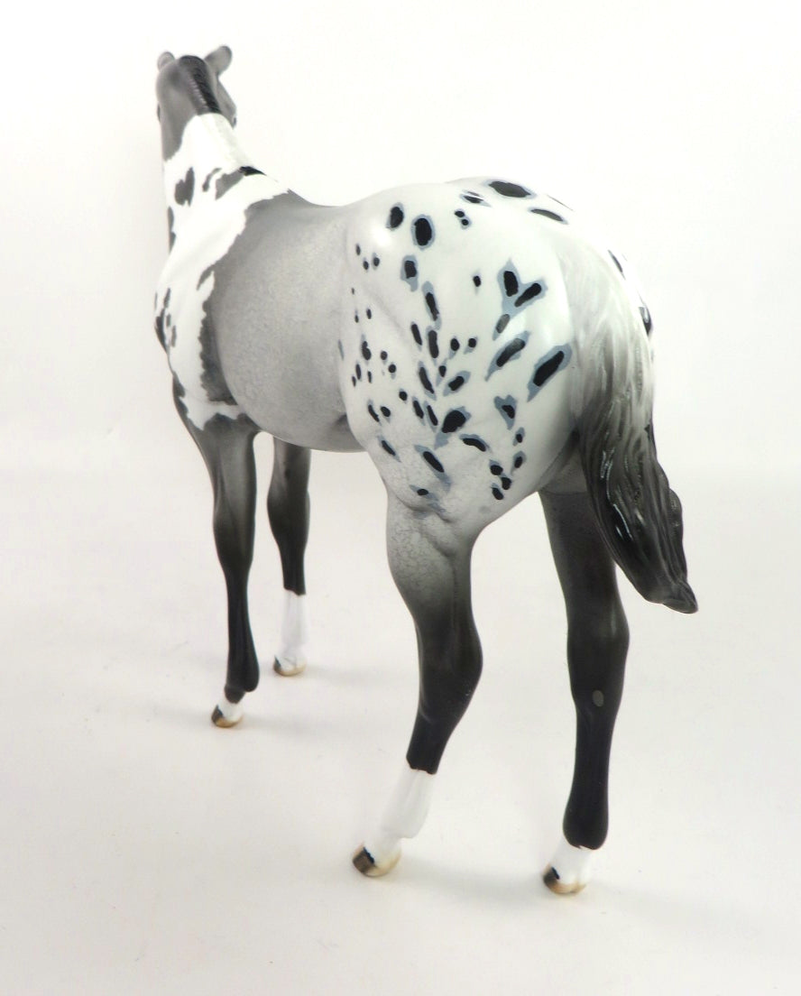 VARSITY BLUES - OOAK GREY PINTALOOSA WEANLING MODEL HORSE BY DAWN QUICK SB20