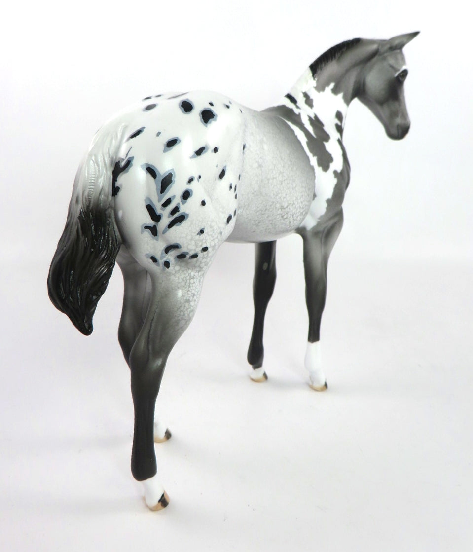 VARSITY BLUES - OOAK GREY PINTALOOSA WEANLING MODEL HORSE BY DAWN QUICK SB20