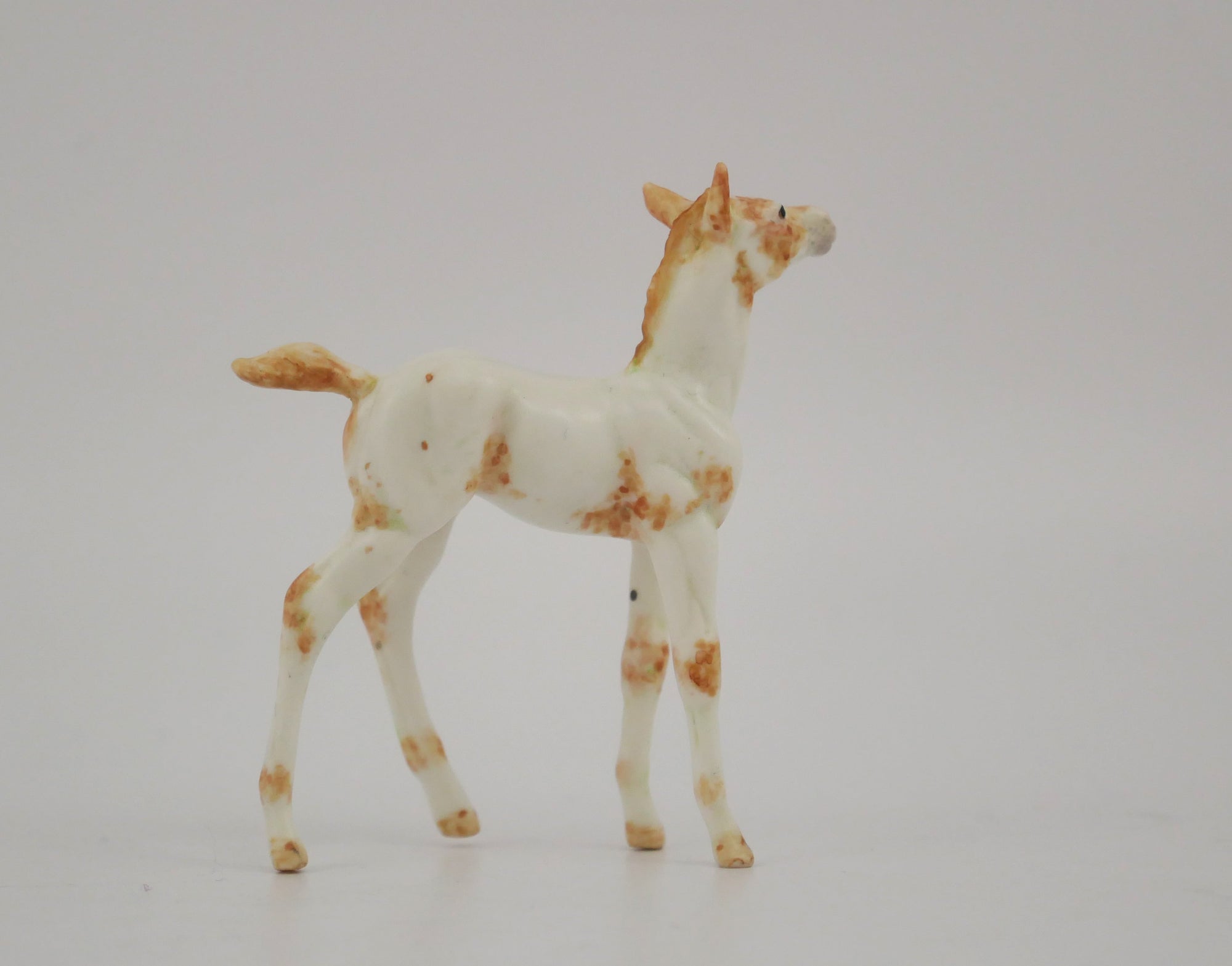 VENTA-OOAK CHESTNUT FEW SPOT APPALOOSA FOAL BY ANDREA