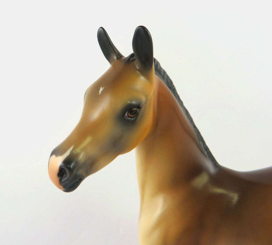 VENUS - LE -3 BAY ARABIAN FOAL BY AUDREY DIXON MM19