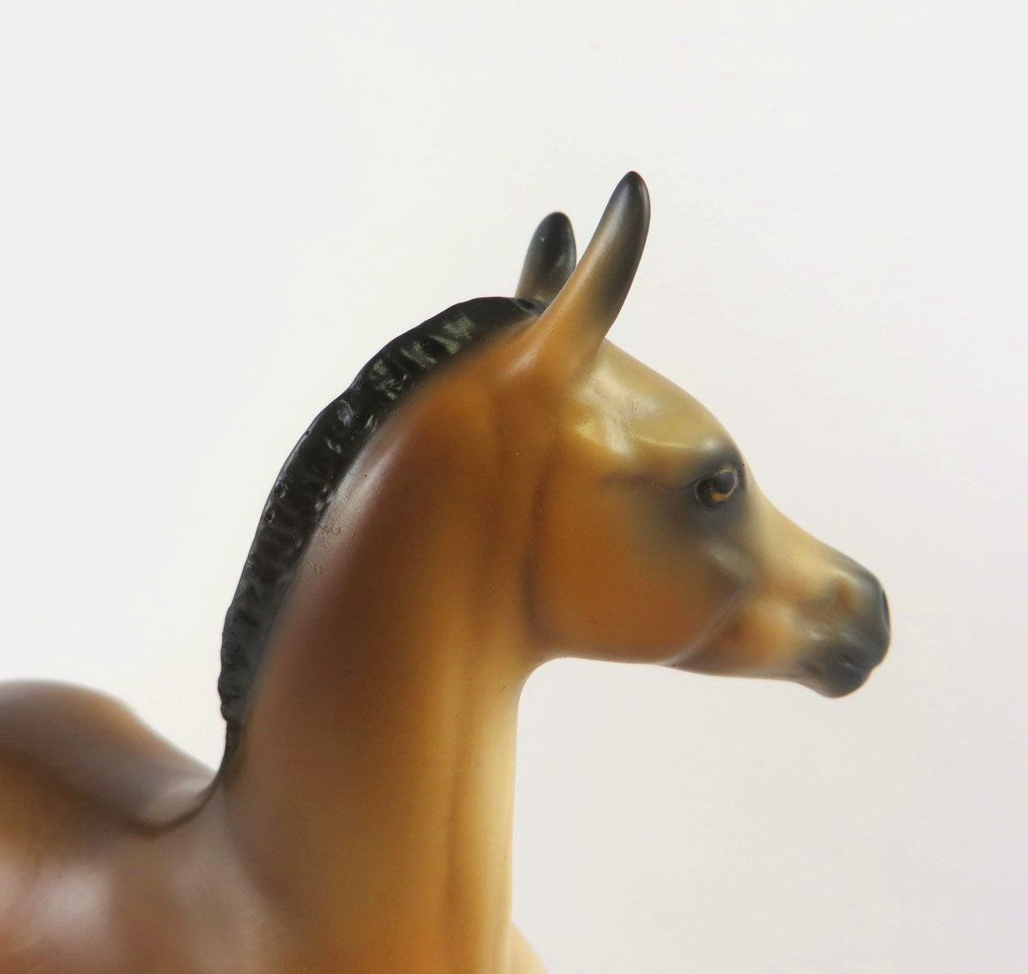 VENUS - LE -3 BAY ARABIAN FOAL BY AUDREY DIXON MM19