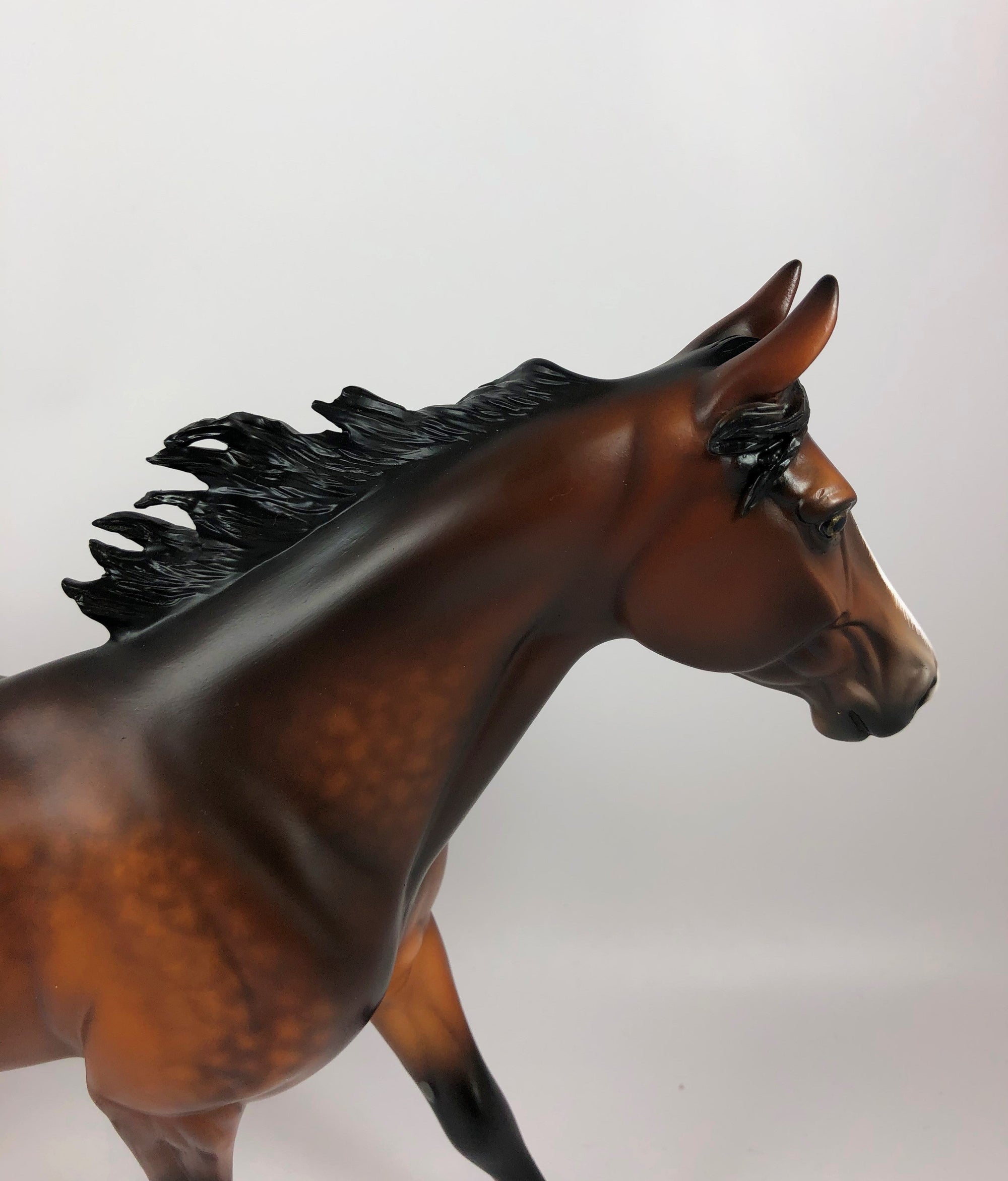 VERMILLION-OOAK STAR DAPPLE BAY PALOUSE MODEL HORSE BY SL LHS 19