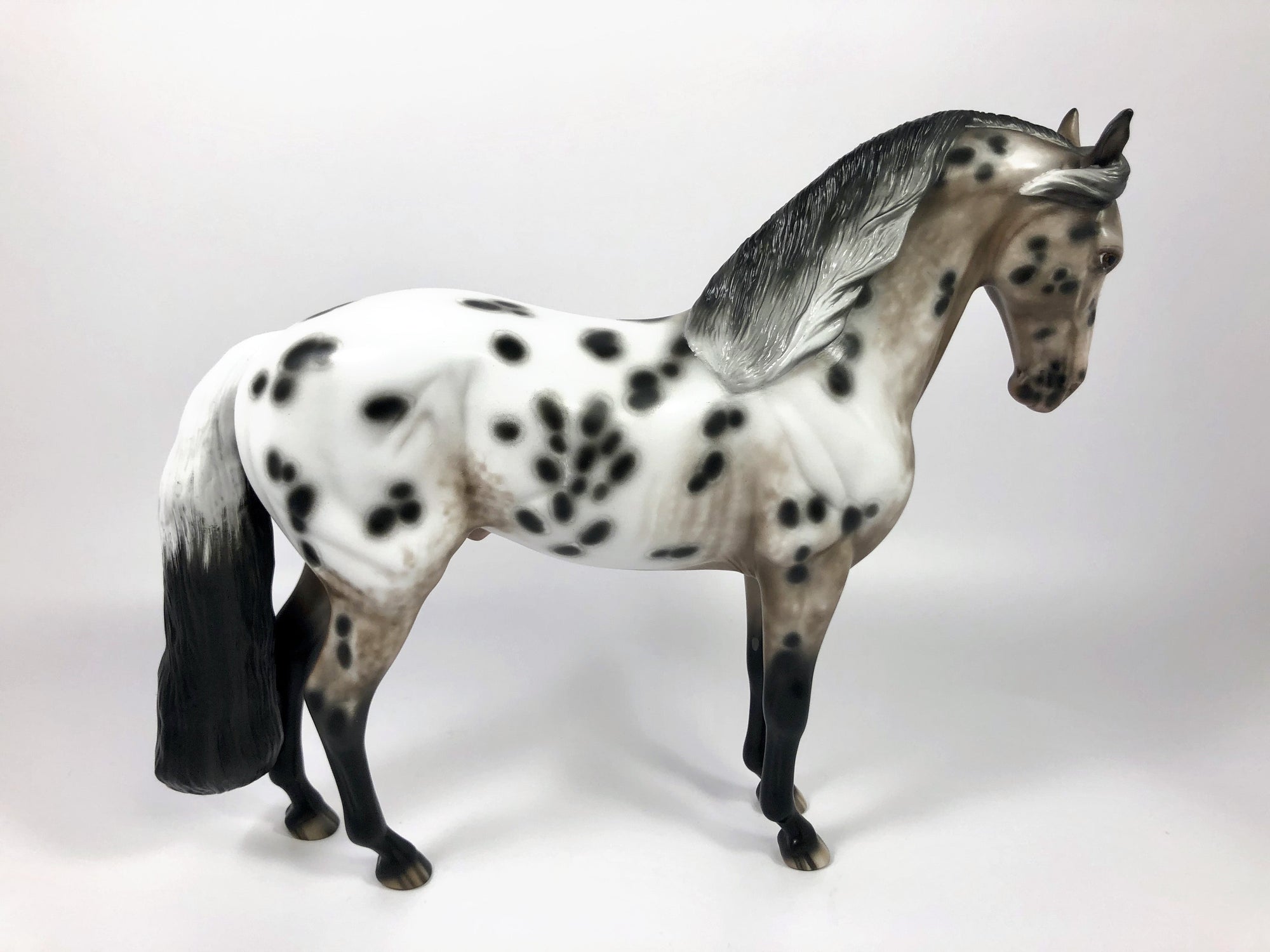 VIBRANT VIBE-OOAK APPALOOSA CM ANDALUSIAN MODEL HORSE BY SHERYL LEISURE 4/25/19