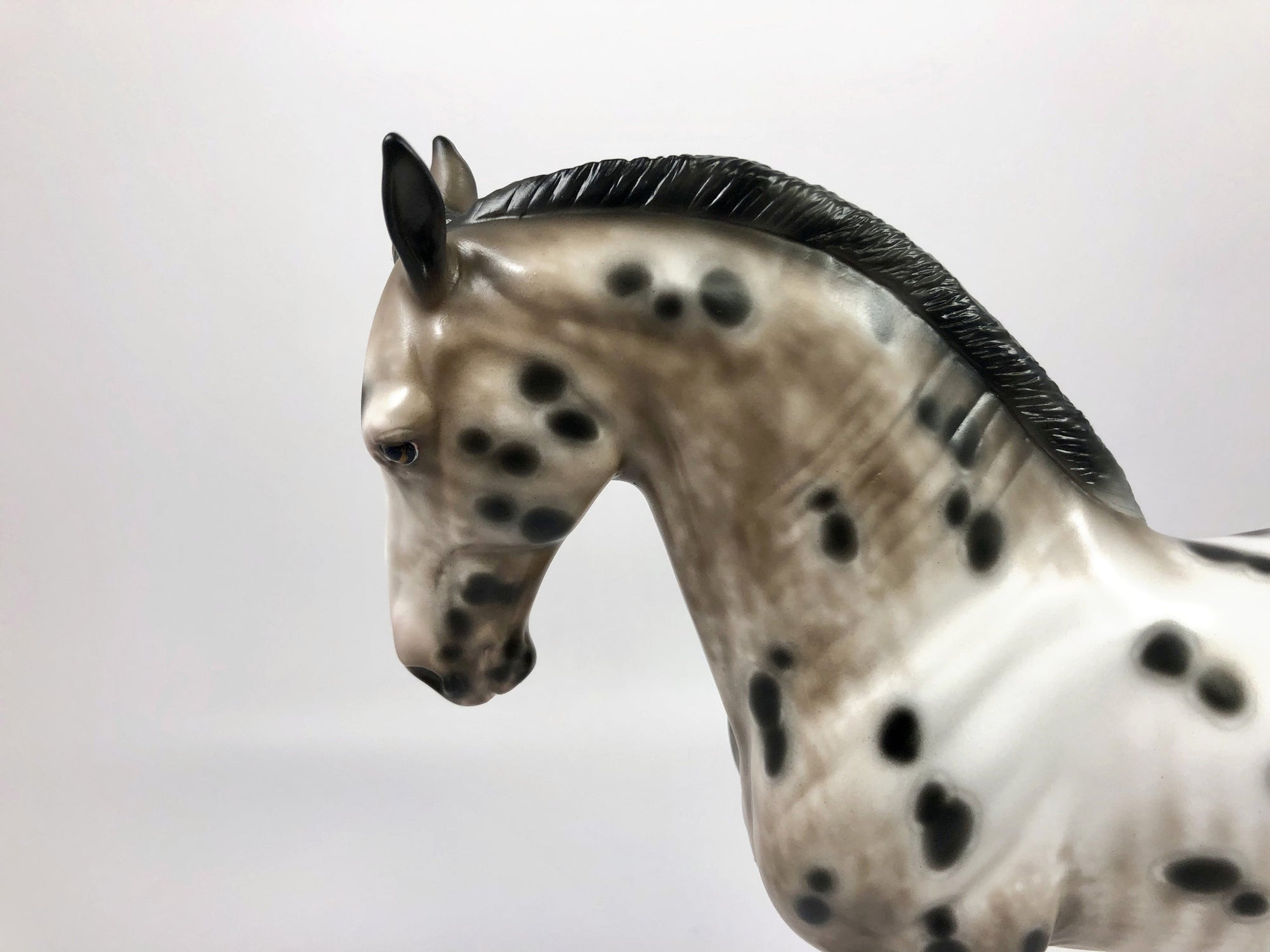 VIBRANT VIBE-OOAK APPALOOSA CM ANDALUSIAN MODEL HORSE BY SHERYL LEISURE 4/25/19
