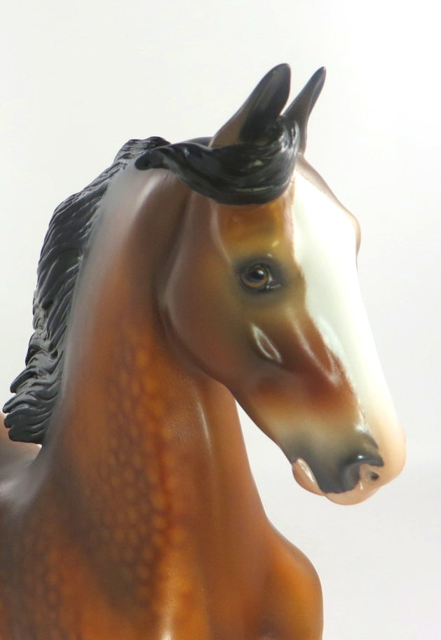 VINCENZO-OOAK DAPPLE BAY SADDLEBRED MODEL HORSE 12/13/19