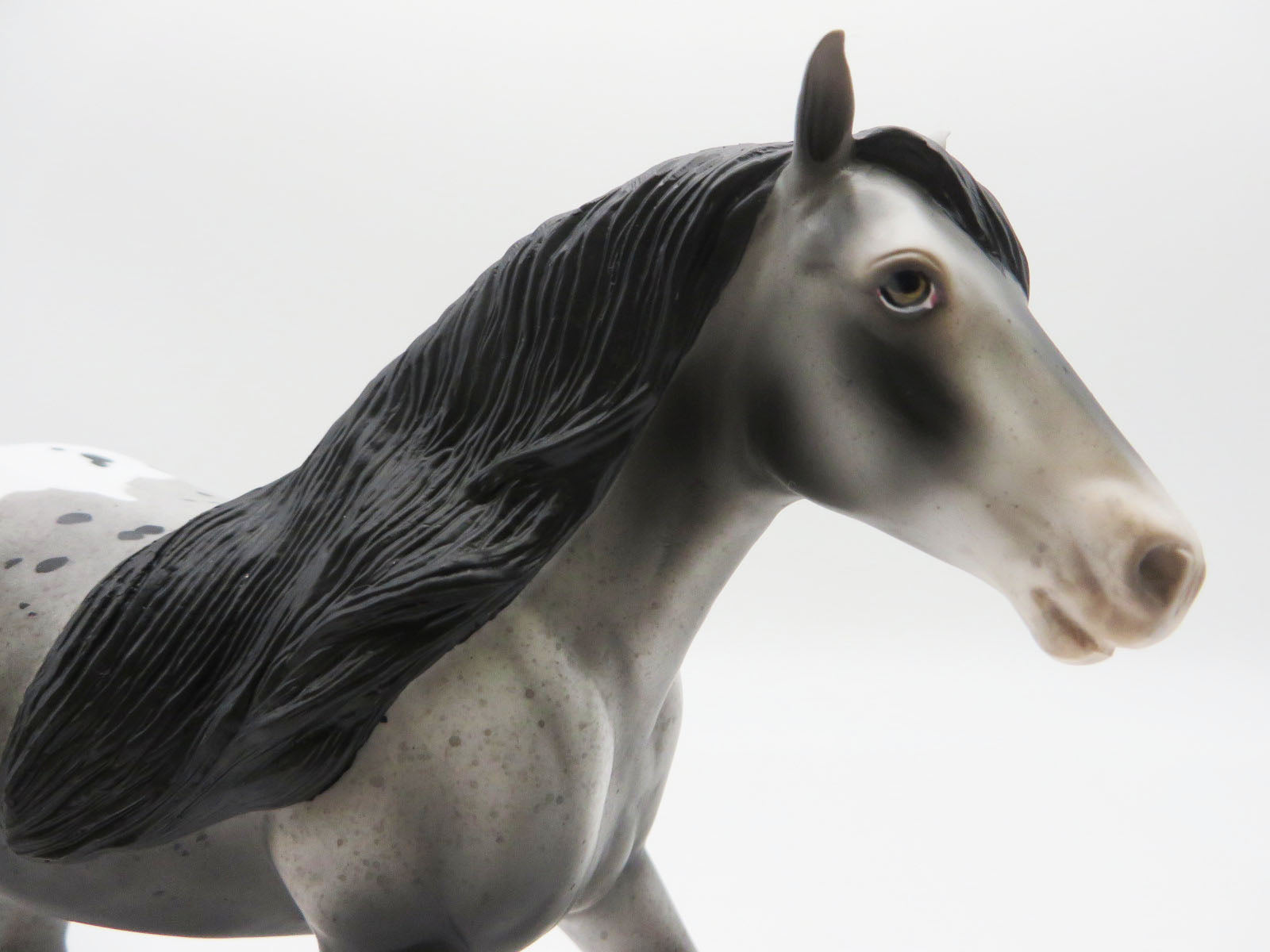 VIRGINIA OPOSSUM - OOAK -BUCKSKIN APPALOOSA STOCK CHIP - BY JESS HAMILL  LHS 22