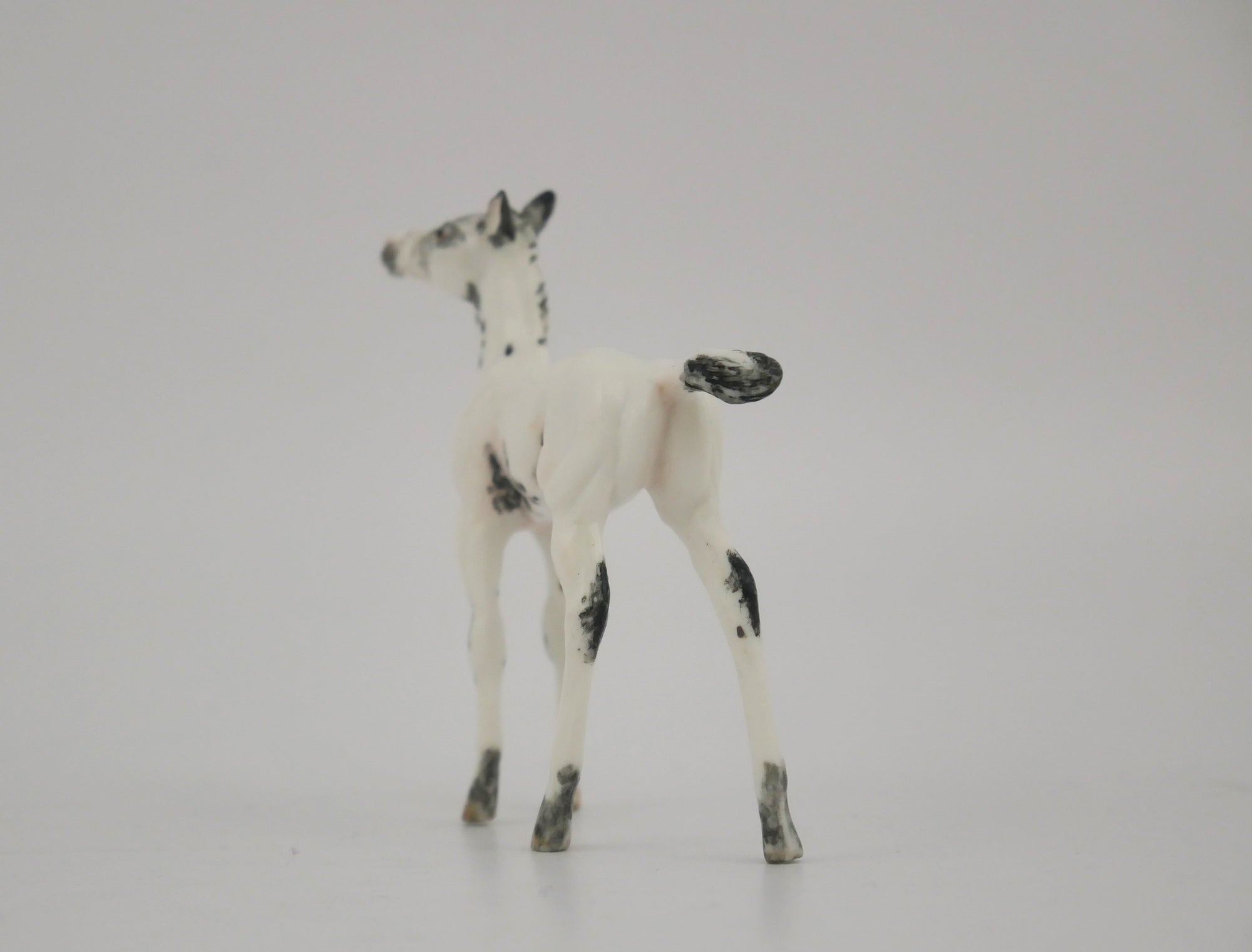 VISO-OOAK BLACK FEW SPOT APPALOOSA FOAL BY ANDREA
