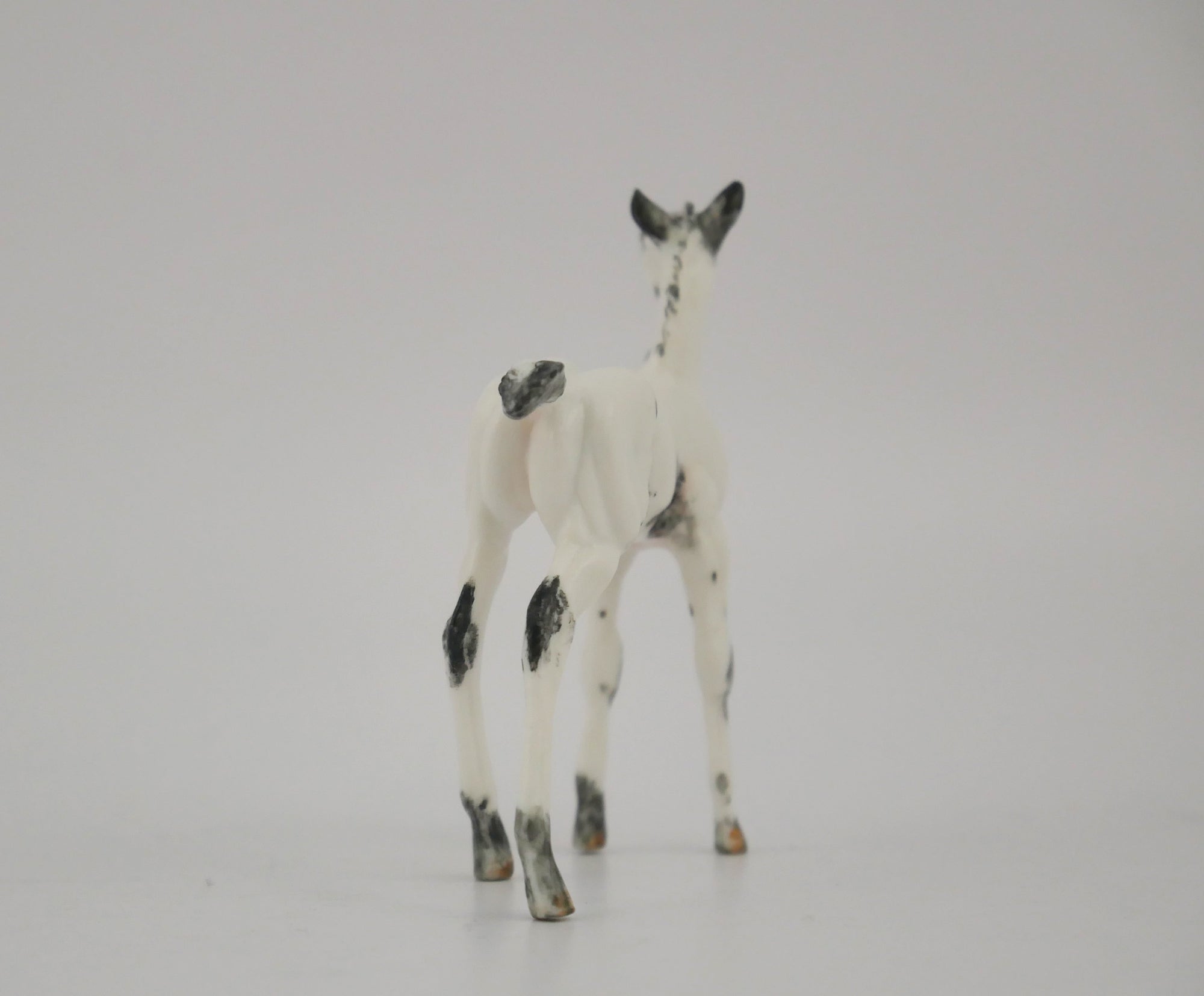 VISO-OOAK BLACK FEW SPOT APPALOOSA FOAL BY ANDREA