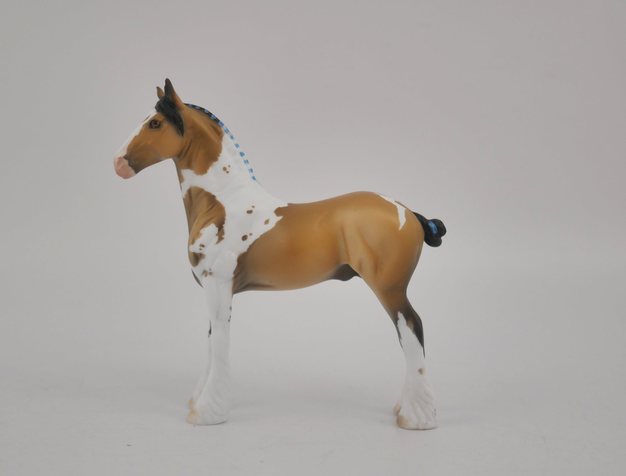 EQUILOCITY 2020 GRAB BAGS