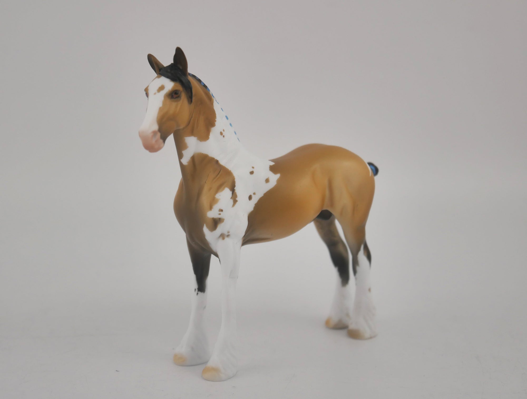 EQUILOCITY 2020 GRAB BAGS