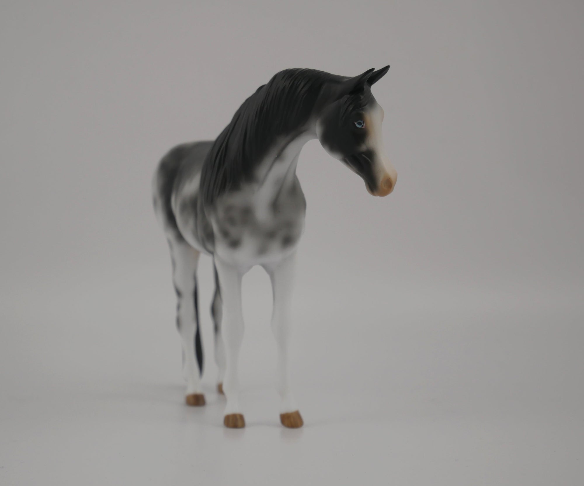 WAKE UP-OOAK BLACK SABINO ARABIAN PEBBLES BY AUDREY DIXON 7/22/20