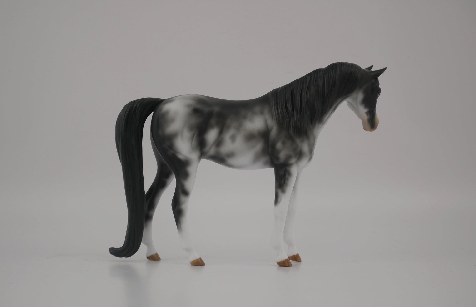 WAKE UP-OOAK BLACK SABINO ARABIAN PEBBLES BY AUDREY DIXON 7/22/20