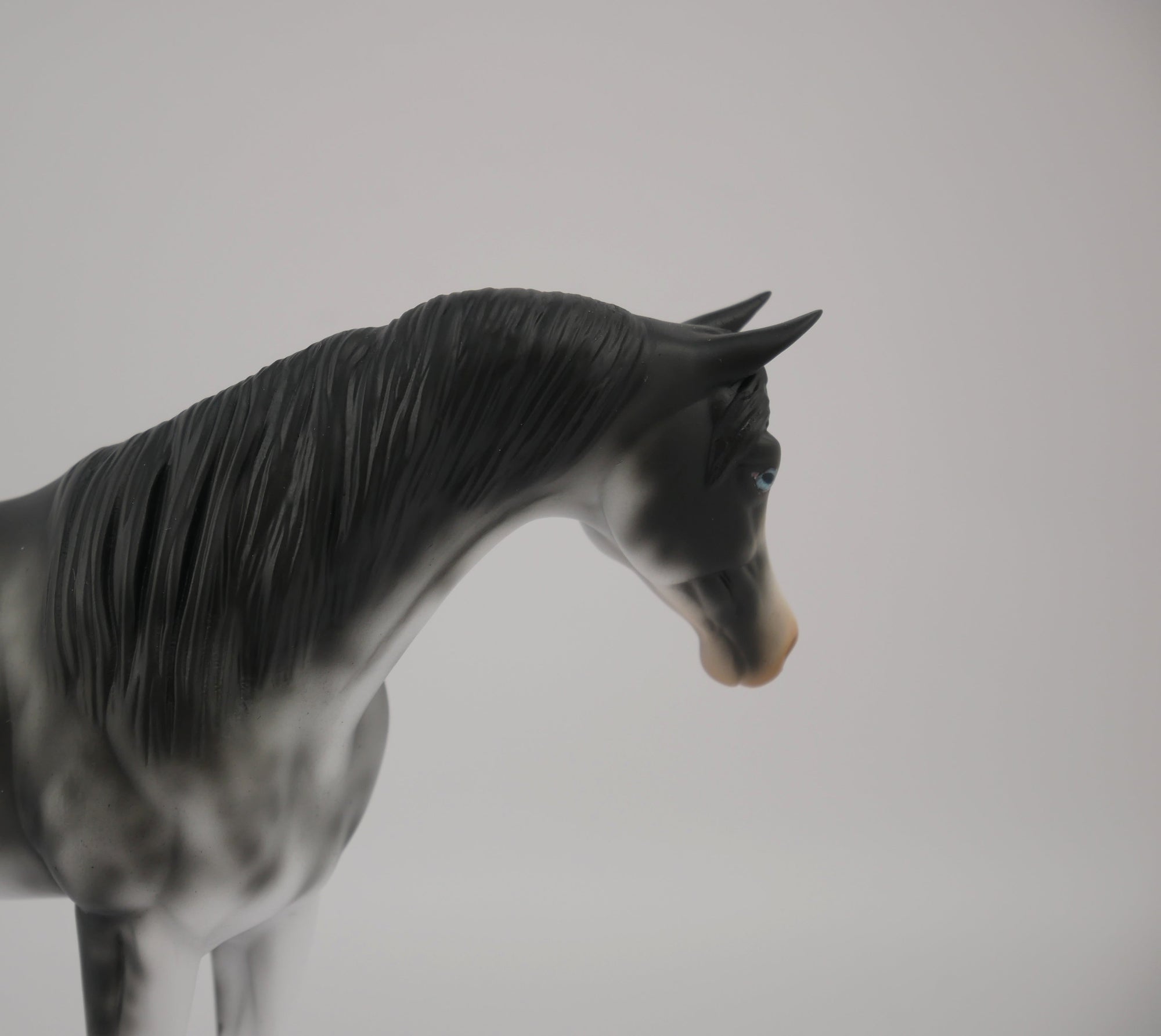 WAKE UP-OOAK BLACK SABINO ARABIAN PEBBLES BY AUDREY DIXON 7/22/20